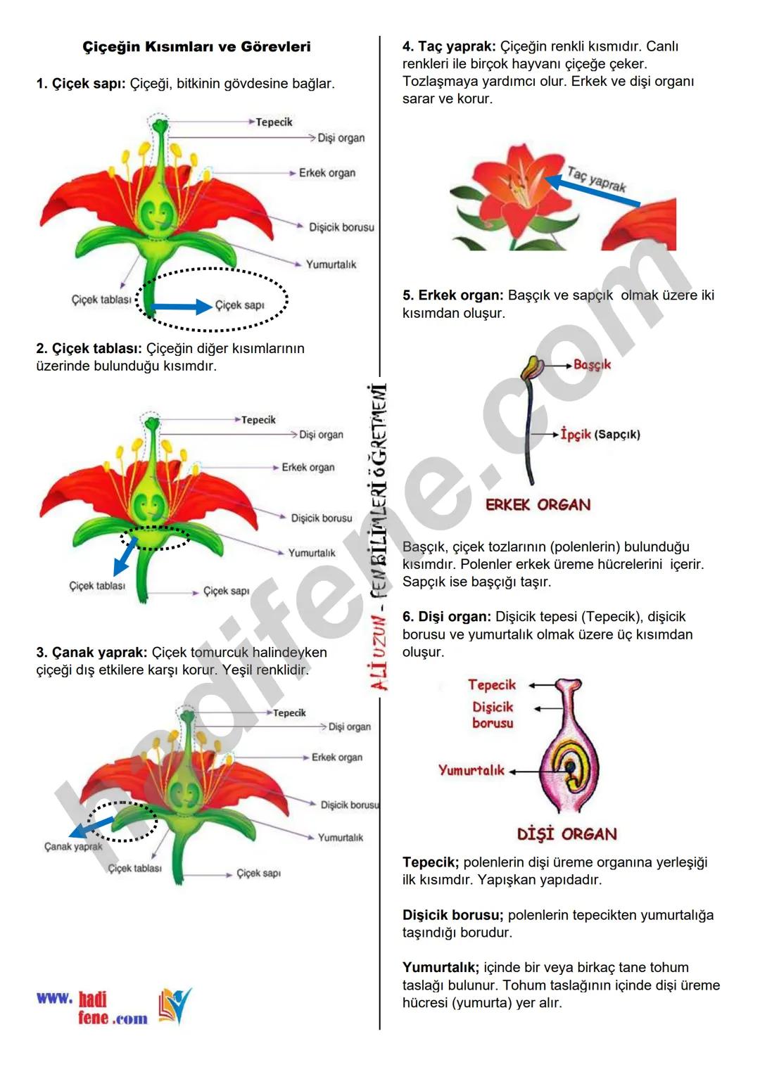 7.SINIF 1.ÜNİTE
GÜNEŞ SİSTEMİ VE ÖTESİ
UZAY ARAŞTIRMALARI
Ali Hocayla Hadi Fene
www.hadifene.com
UZAY TEKNOLOJİLERİ
Eski çağlardan günümüze