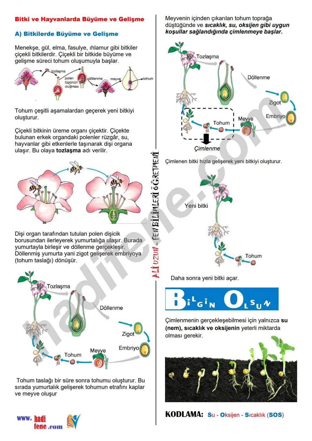 7.SINIF 1.ÜNİTE
GÜNEŞ SİSTEMİ VE ÖTESİ
UZAY ARAŞTIRMALARI
Ali Hocayla Hadi Fene
www.hadifene.com
UZAY TEKNOLOJİLERİ
Eski çağlardan günümüze