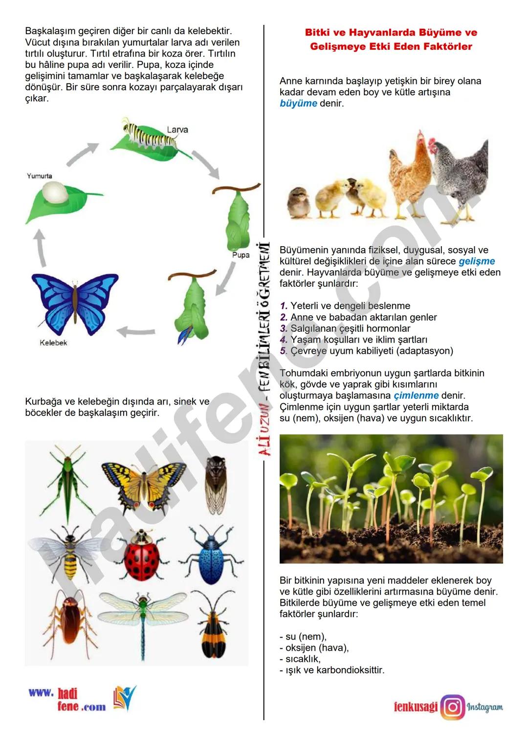 7.SINIF 1.ÜNİTE
GÜNEŞ SİSTEMİ VE ÖTESİ
UZAY ARAŞTIRMALARI
Ali Hocayla Hadi Fene
www.hadifene.com
UZAY TEKNOLOJİLERİ
Eski çağlardan günümüze