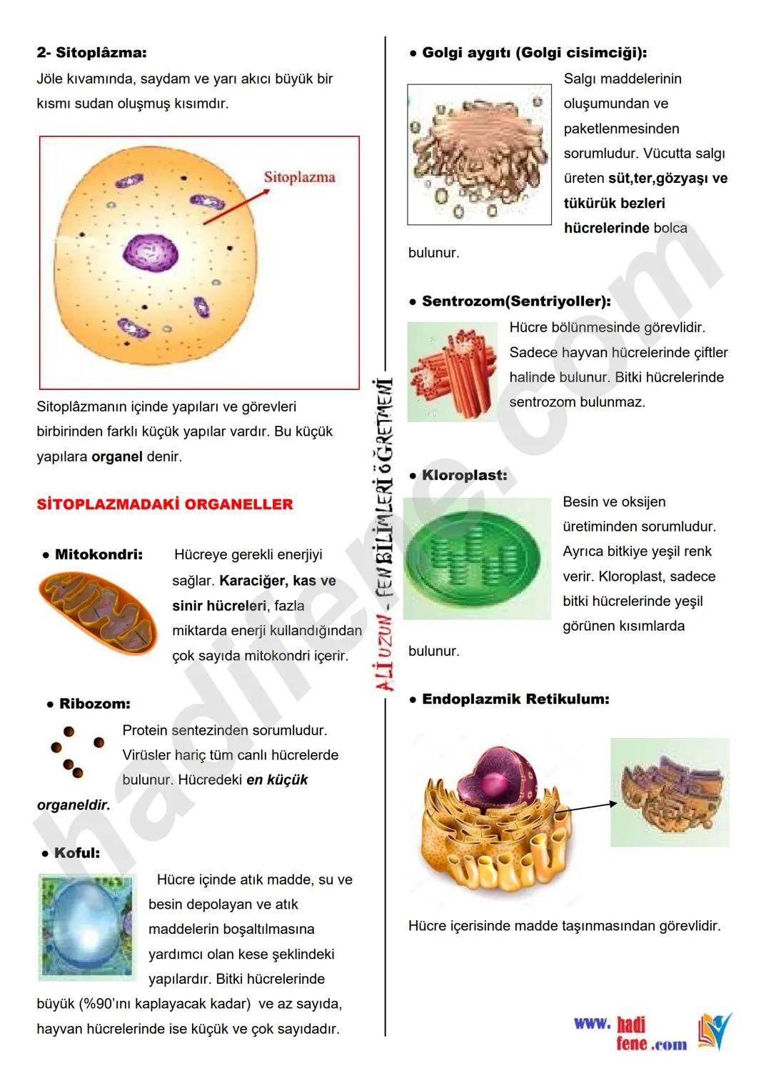 7.SINIF 1.ÜNİTE
GÜNEŞ SİSTEMİ VE ÖTESİ
UZAY ARAŞTIRMALARI
Ali Hocayla Hadi Fene
www.hadifene.com
UZAY TEKNOLOJİLERİ
Eski çağlardan günümüze