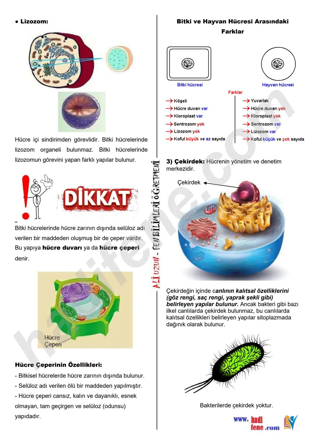 7.SINIF 1.ÜNİTE
GÜNEŞ SİSTEMİ VE ÖTESİ
UZAY ARAŞTIRMALARI
Ali Hocayla Hadi Fene
www.hadifene.com
UZAY TEKNOLOJİLERİ
Eski çağlardan günümüze