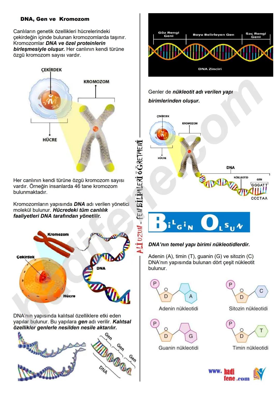 7.SINIF 1.ÜNİTE
GÜNEŞ SİSTEMİ VE ÖTESİ
UZAY ARAŞTIRMALARI
Ali Hocayla Hadi Fene
www.hadifene.com
UZAY TEKNOLOJİLERİ
Eski çağlardan günümüze