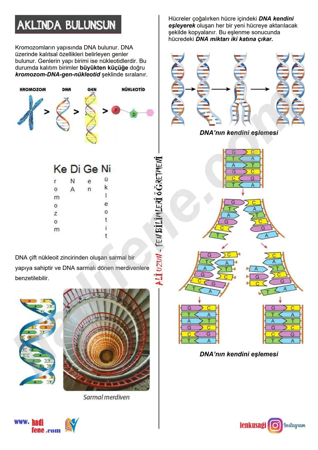 7.SINIF 1.ÜNİTE
GÜNEŞ SİSTEMİ VE ÖTESİ
UZAY ARAŞTIRMALARI
Ali Hocayla Hadi Fene
www.hadifene.com
UZAY TEKNOLOJİLERİ
Eski çağlardan günümüze