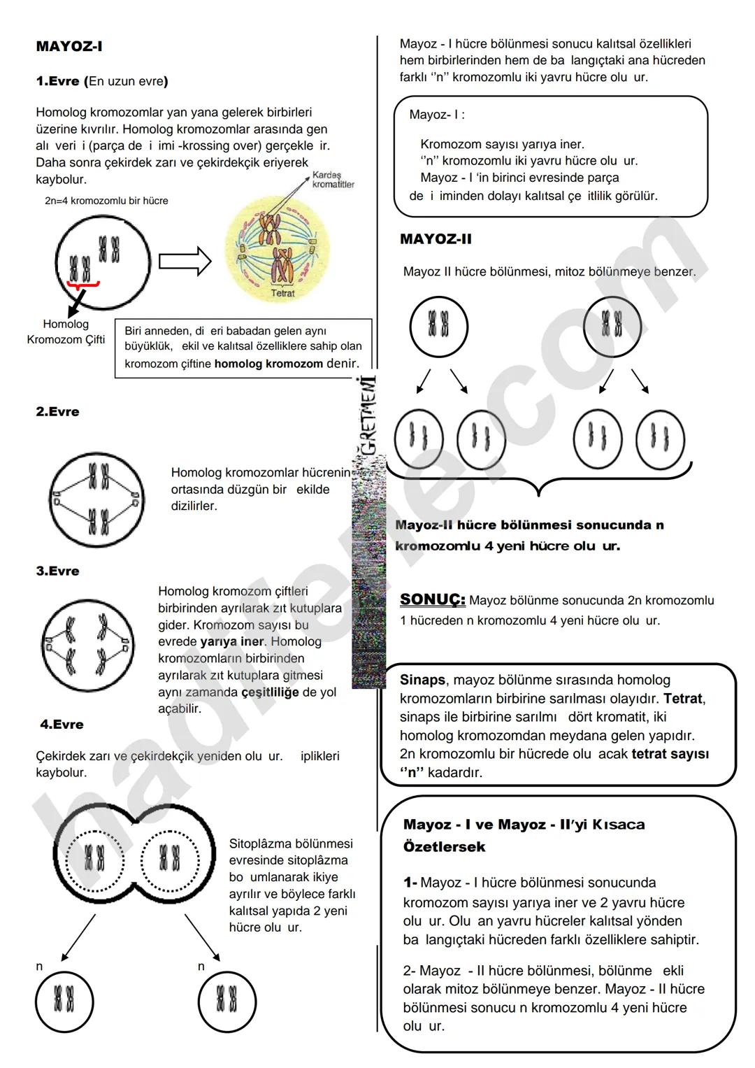 7.SINIF 1.ÜNİTE
GÜNEŞ SİSTEMİ VE ÖTESİ
UZAY ARAŞTIRMALARI
Ali Hocayla Hadi Fene
www.hadifene.com
UZAY TEKNOLOJİLERİ
Eski çağlardan günümüze
