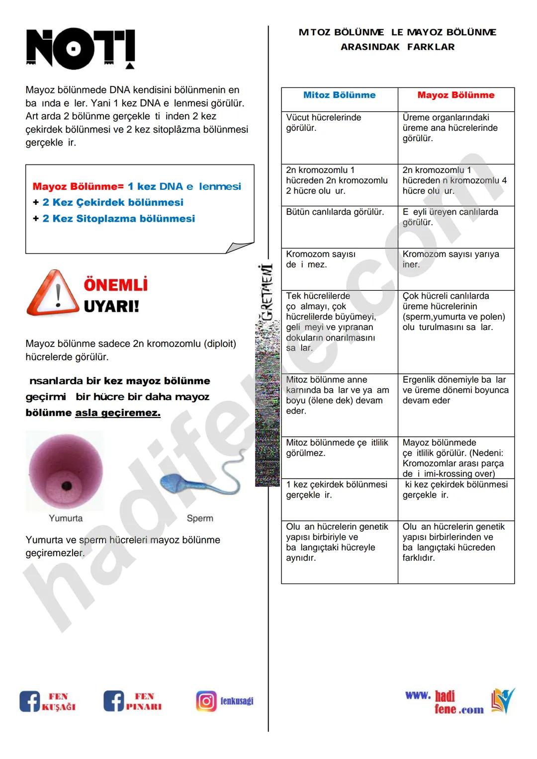 7.SINIF 1.ÜNİTE
GÜNEŞ SİSTEMİ VE ÖTESİ
UZAY ARAŞTIRMALARI
Ali Hocayla Hadi Fene
www.hadifene.com
UZAY TEKNOLOJİLERİ
Eski çağlardan günümüze