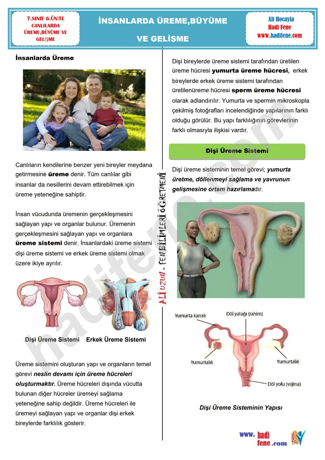 7.SINIF 1.ÜNİTE
GÜNEŞ SİSTEMİ VE ÖTESİ
UZAY ARAŞTIRMALARI
Ali Hocayla Hadi Fene
www.hadifene.com
UZAY TEKNOLOJİLERİ
Eski çağlardan günümüze