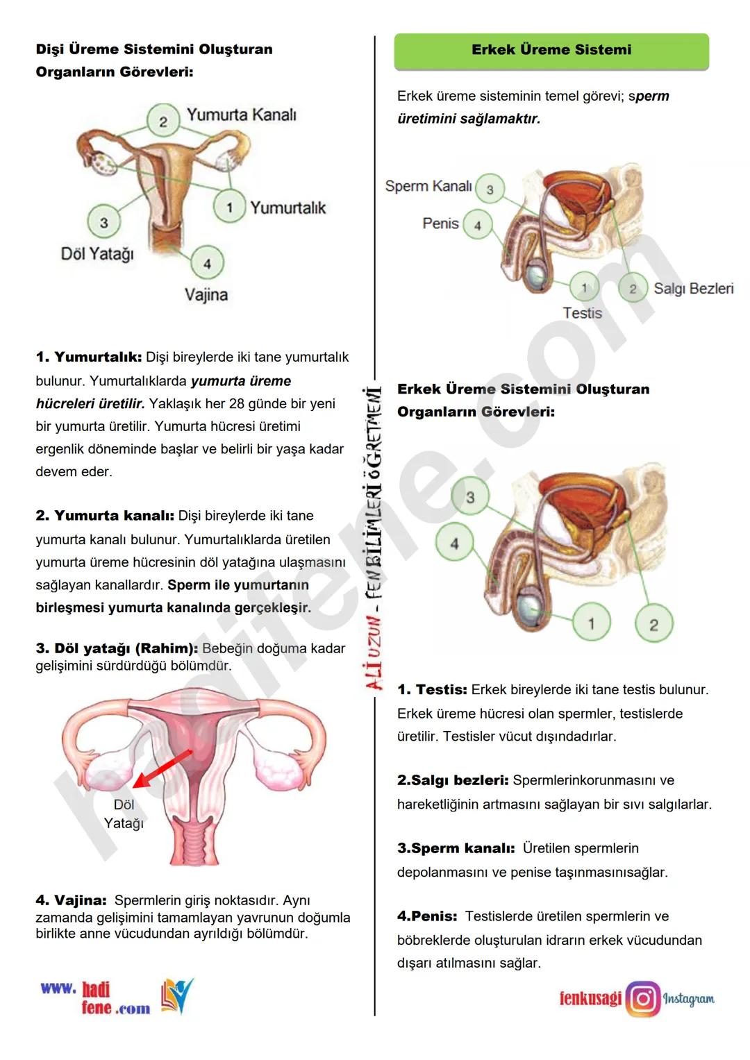 7.SINIF 1.ÜNİTE
GÜNEŞ SİSTEMİ VE ÖTESİ
UZAY ARAŞTIRMALARI
Ali Hocayla Hadi Fene
www.hadifene.com
UZAY TEKNOLOJİLERİ
Eski çağlardan günümüze