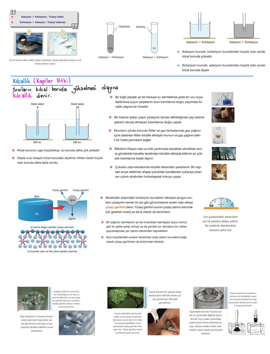 # Zayıf Etkileşimler
Van der Waals
Dipol-Dipol
Etkileşimi
İyon-Dipol
Etkileşimi
Hidrojen Bağı
London
Etkileşimi
İyon-İndüklenmiş
Dipol