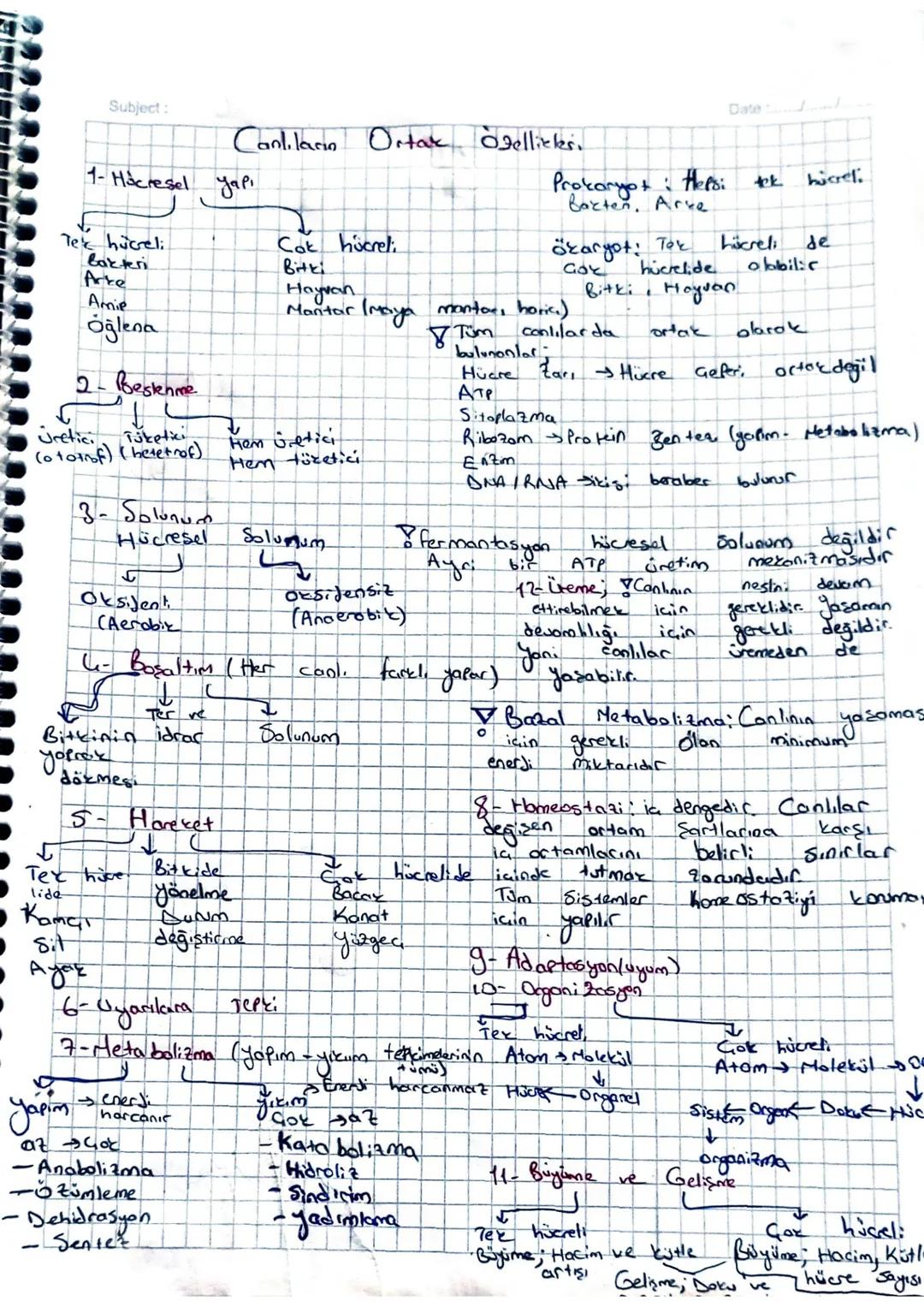 # Subject:
Canlıların Ortak Özellikleri
1- Hücresel yapı
Tek hücreli
bakteri
Arke
Amip
Öğlena
2- Beslenme
Üretici Tüketici
(ototrof) (h