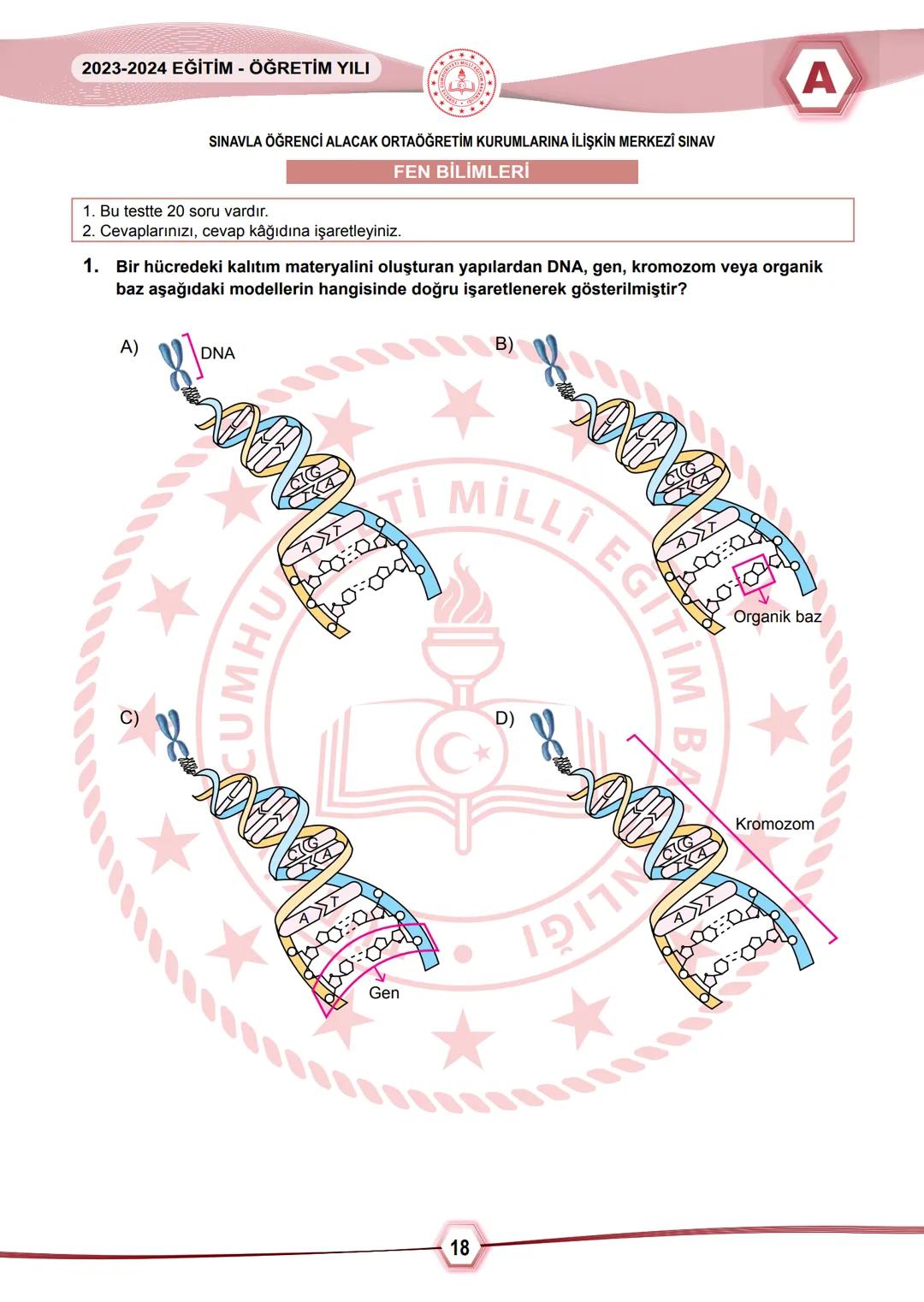 2024 SAYISAL BÖLÜM
*T.C.
MİLLÎ EĞİTİM BAKANLIĞI
ÖLÇME, DEĞERLENDİRME VE SINAV HİZMETLERİ GENEL MÜDÜRLÜĞÜ
SINAVLA ÖĞRENCİ ALACAK ORTAÖĞRETİM
