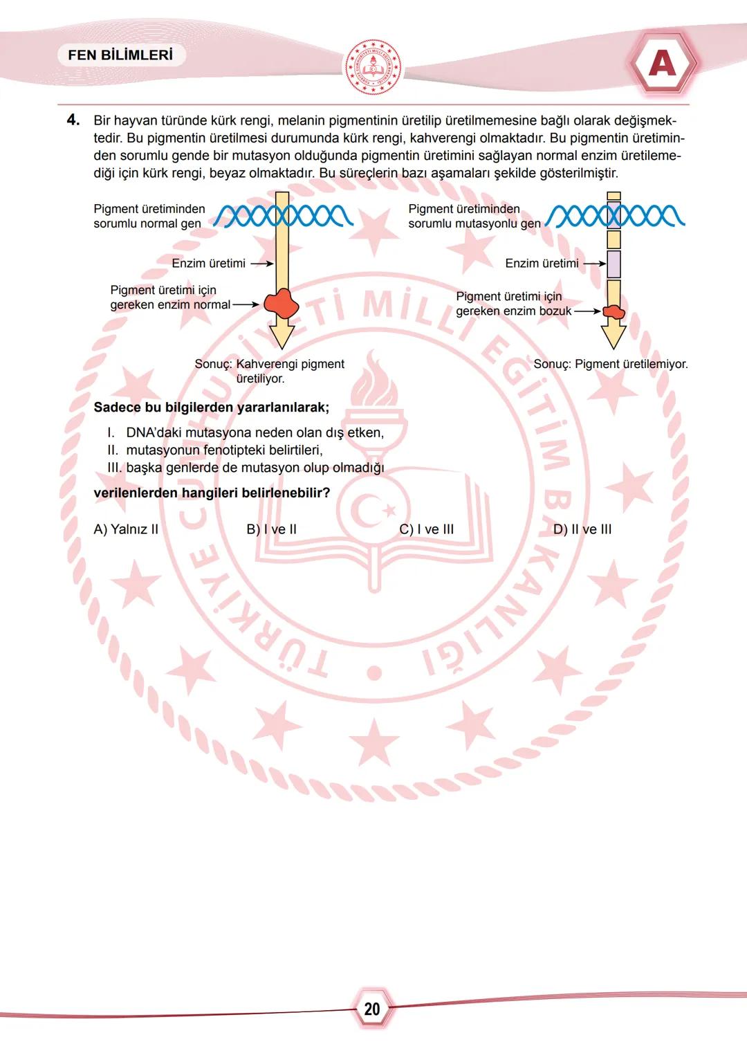 2024 SAYISAL BÖLÜM
*T.C.
MİLLÎ EĞİTİM BAKANLIĞI
ÖLÇME, DEĞERLENDİRME VE SINAV HİZMETLERİ GENEL MÜDÜRLÜĞÜ
SINAVLA ÖĞRENCİ ALACAK ORTAÖĞRETİM