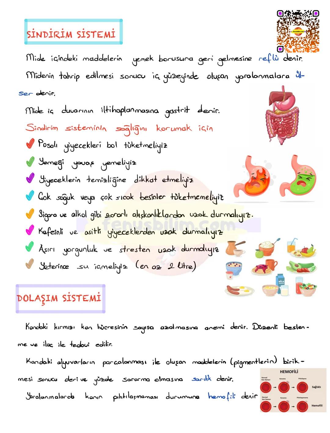 SİSTEMLERİN SAĞLIĞI
Belirli bir görevi yerine getirebilmek için birlikte çalışan organlara sis-
tem denir.
DESTEK VE HAREKET SİSTEMİ
Gevrese