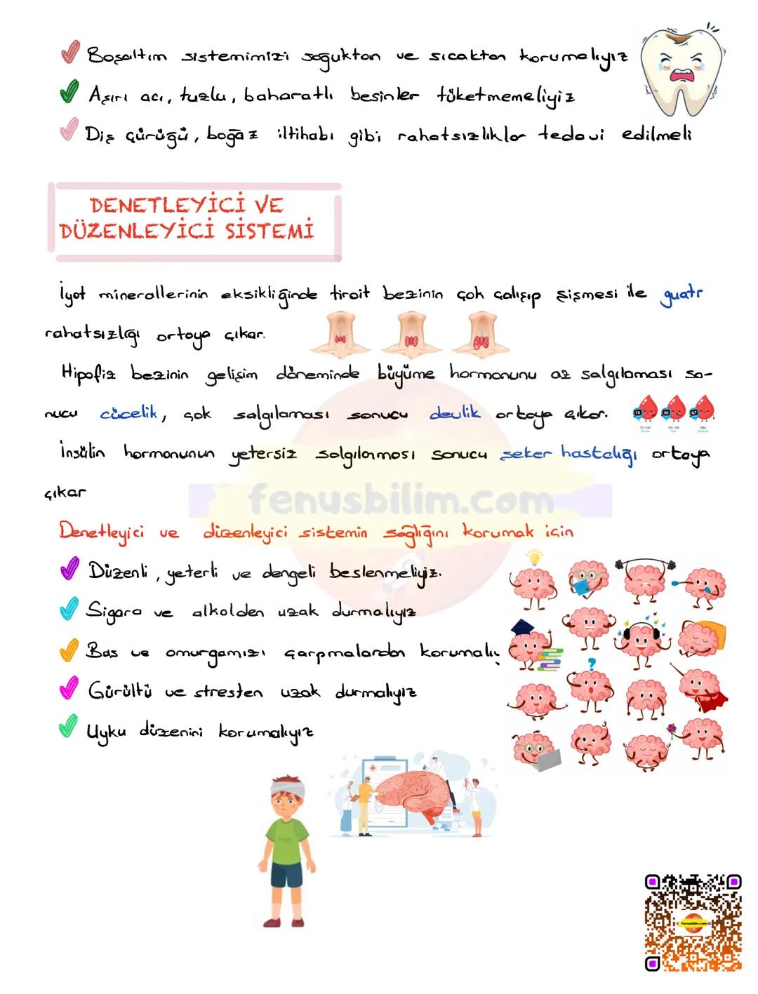 SİSTEMLERİN SAĞLIĞI
Belirli bir görevi yerine getirebilmek için birlikte çalışan organlara sis-
tem denir.
DESTEK VE HAREKET SİSTEMİ
Gevrese