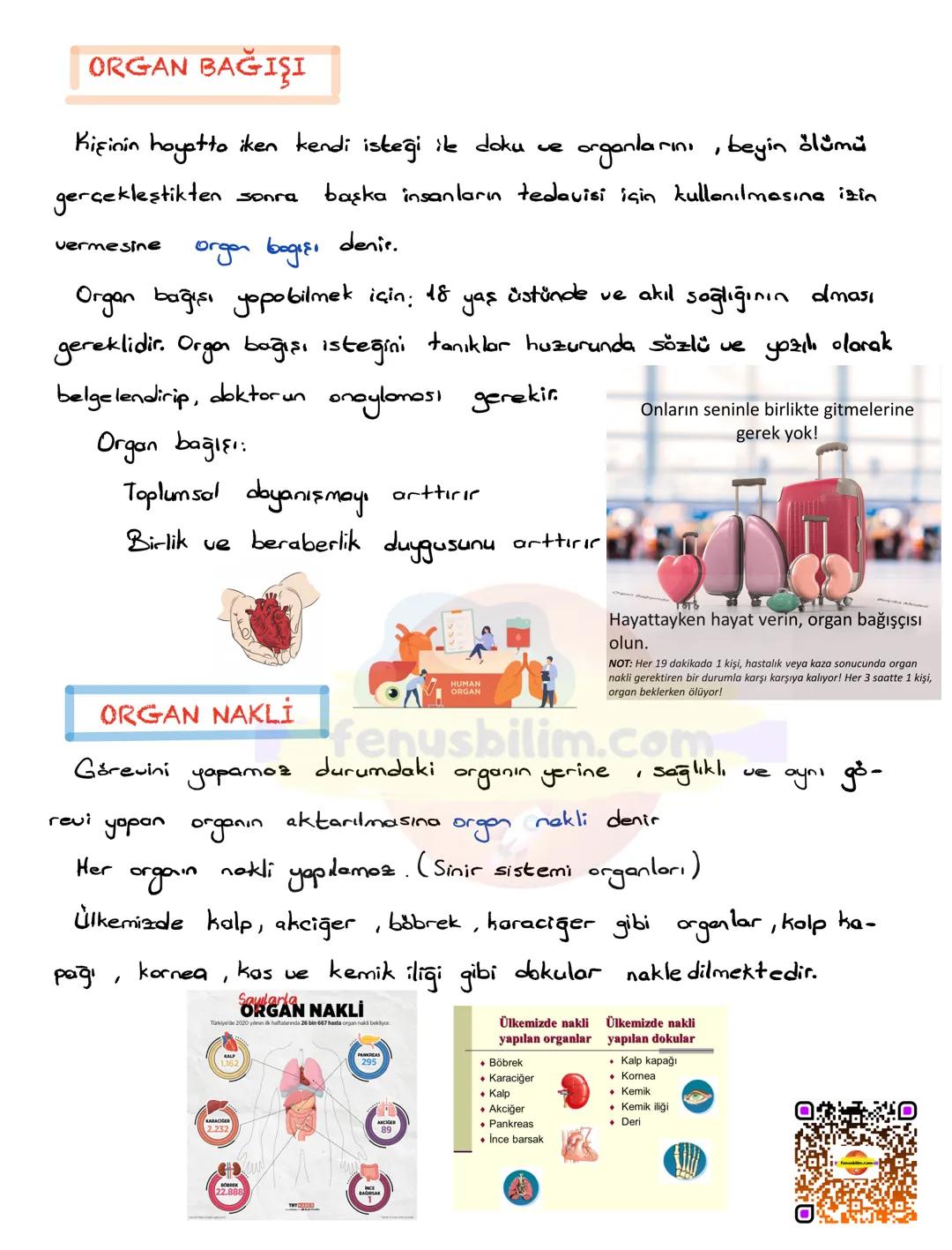 SİSTEMLERİN SAĞLIĞI
Belirli bir görevi yerine getirebilmek için birlikte çalışan organlara sis-
tem denir.
DESTEK VE HAREKET SİSTEMİ
Gevrese