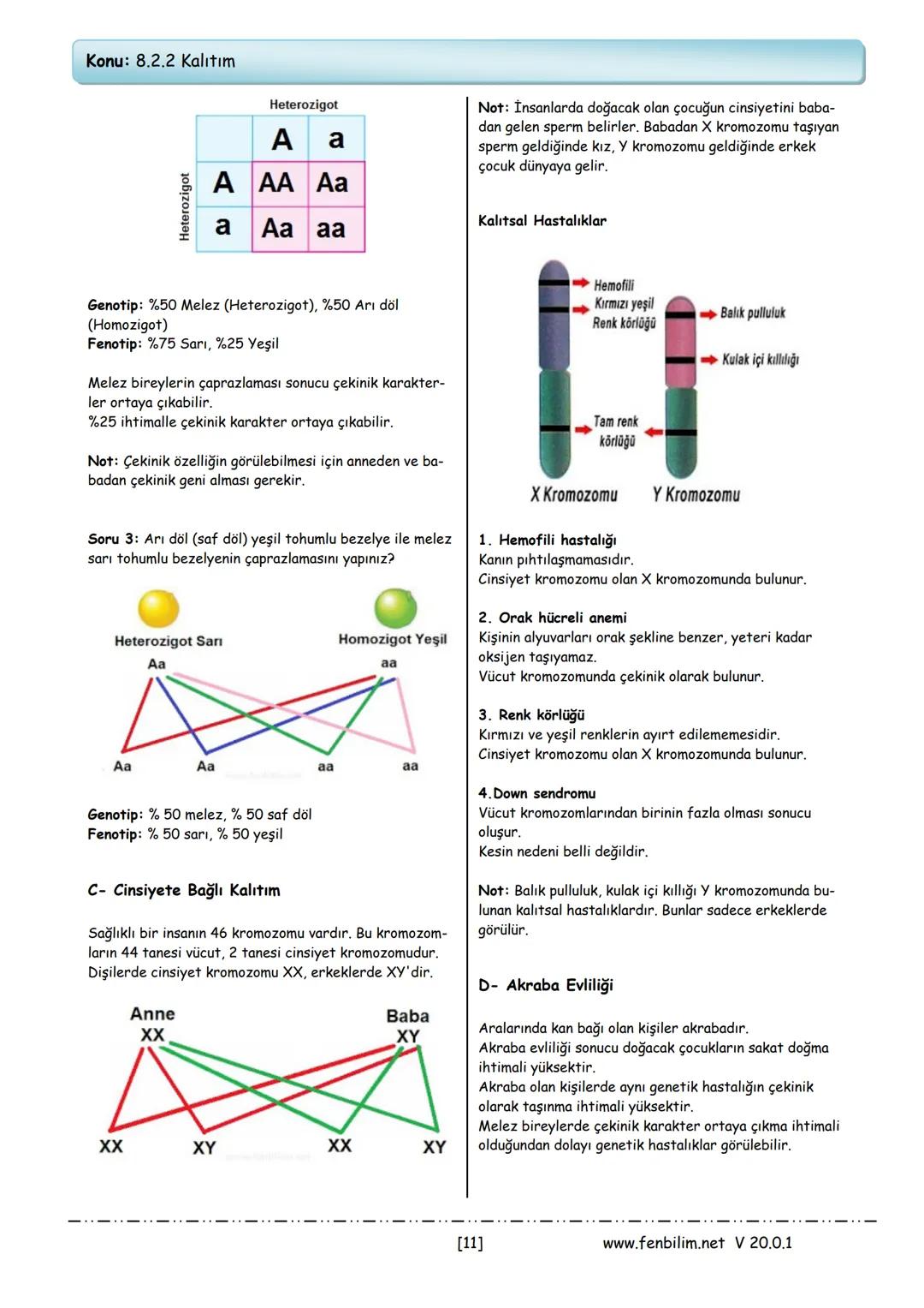 # 8.Sınıf Fen Bilimleri Ders Notları
Barış ZEREN
Fen Bilimleri Öğretmeni
www.fenbilim.net V 20.0.1 # 1.Ünite: Mevsimler ve İklim
**Konu: