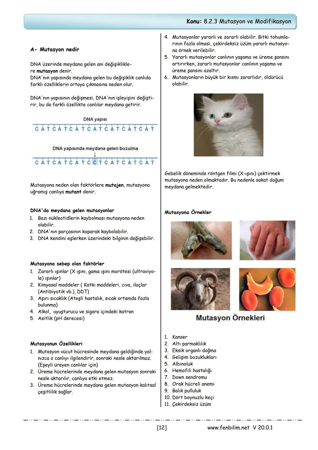 # 8.Sınıf Fen Bilimleri Ders Notları
Barış ZEREN
Fen Bilimleri Öğretmeni
www.fenbilim.net V 20.0.1 # 1.Ünite: Mevsimler ve İklim
**Konu: