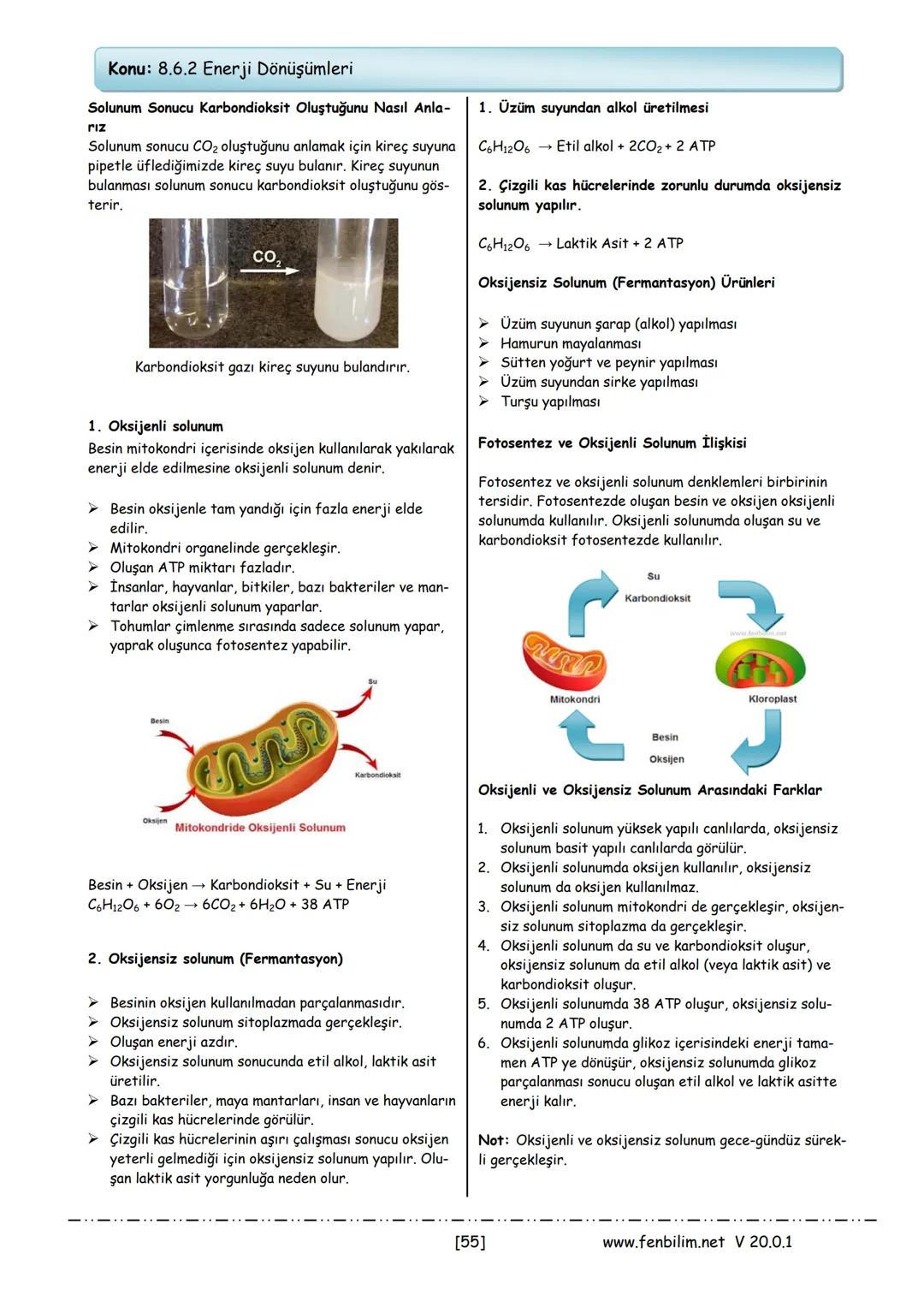 # 8.Sınıf Fen Bilimleri Ders Notları
Barış ZEREN
Fen Bilimleri Öğretmeni
www.fenbilim.net V 20.0.1 # 1.Ünite: Mevsimler ve İklim
**Konu: