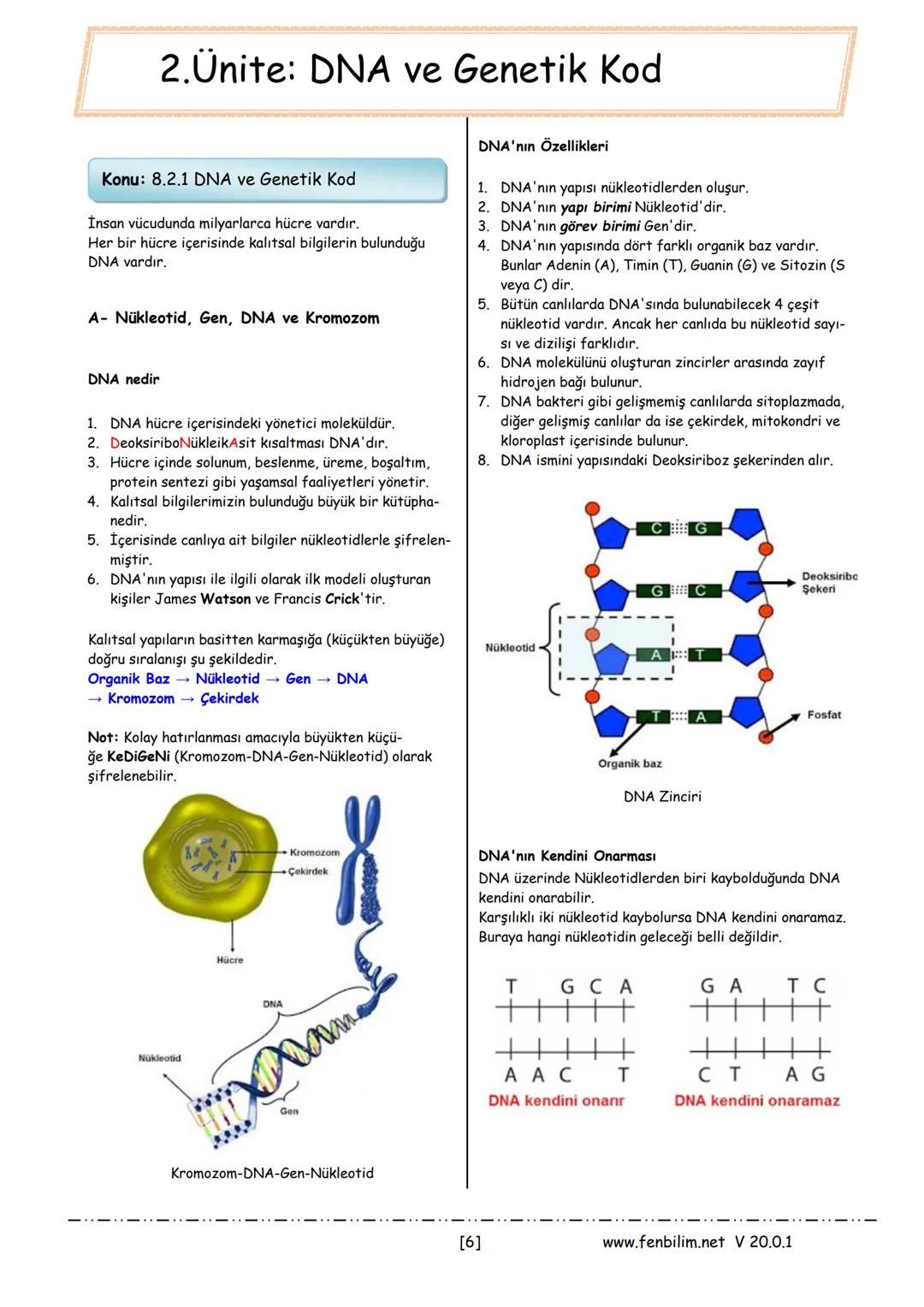 # 8.Sınıf Fen Bilimleri Ders Notları
Barış ZEREN
Fen Bilimleri Öğretmeni
www.fenbilim.net V 20.0.1 # 1.Ünite: Mevsimler ve İklim
**Konu: