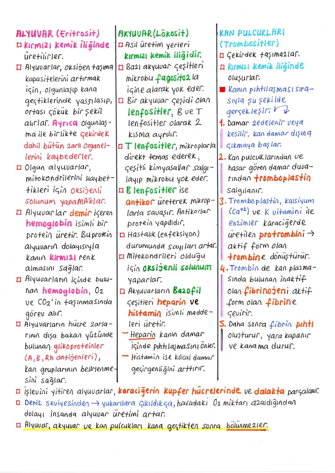 --- OCR Start ---
DOLAŞIM SİSTEMİ
Dolaşım sistemi sayesinde, doku ve organlara gerekli oksijen ve besin
taşınırken, ayrıca bu yapılardan atı
