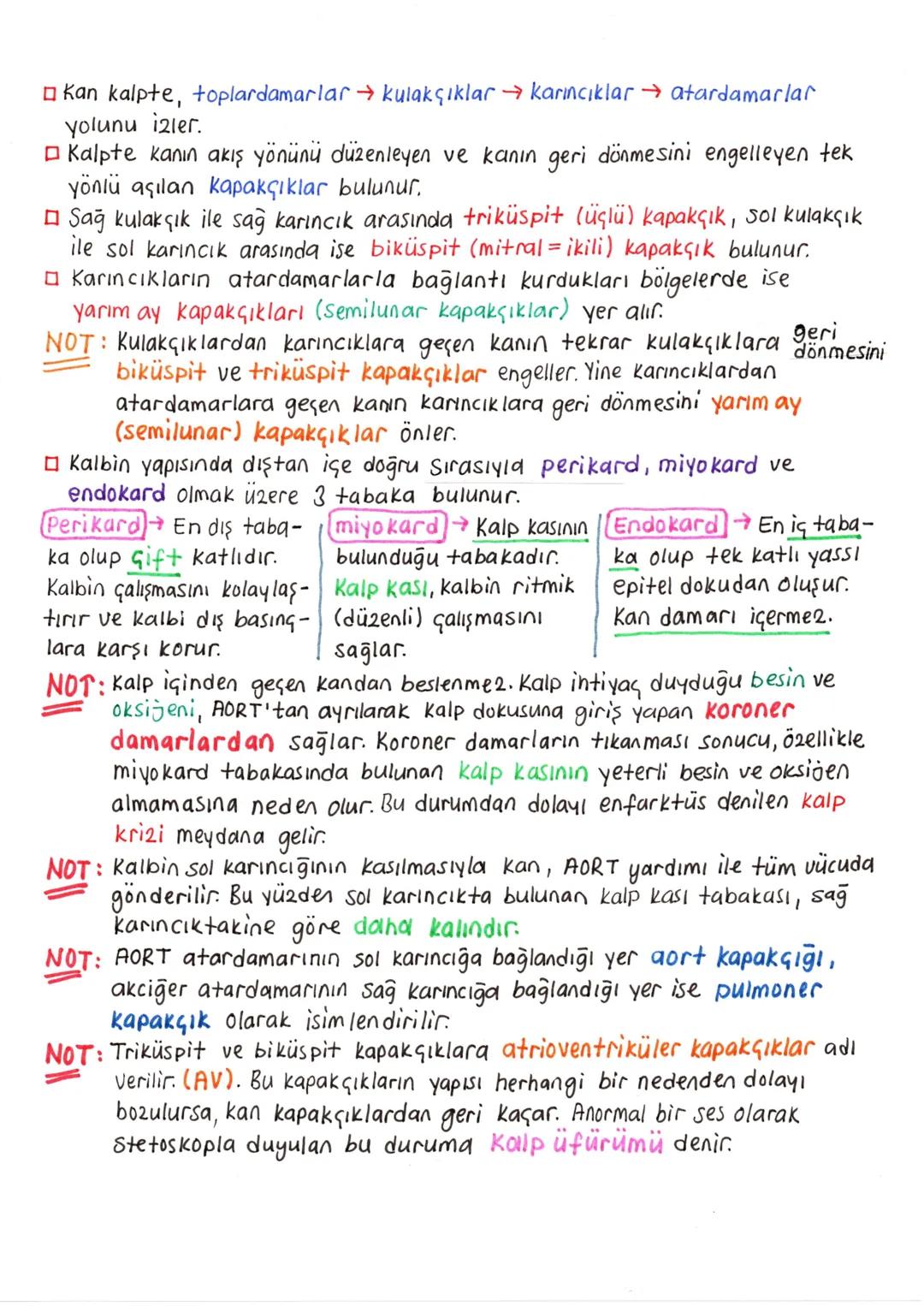 --- OCR Start ---
DOLAŞIM SİSTEMİ
Dolaşım sistemi sayesinde, doku ve organlara gerekli oksijen ve besin
taşınırken, ayrıca bu yapılardan atı