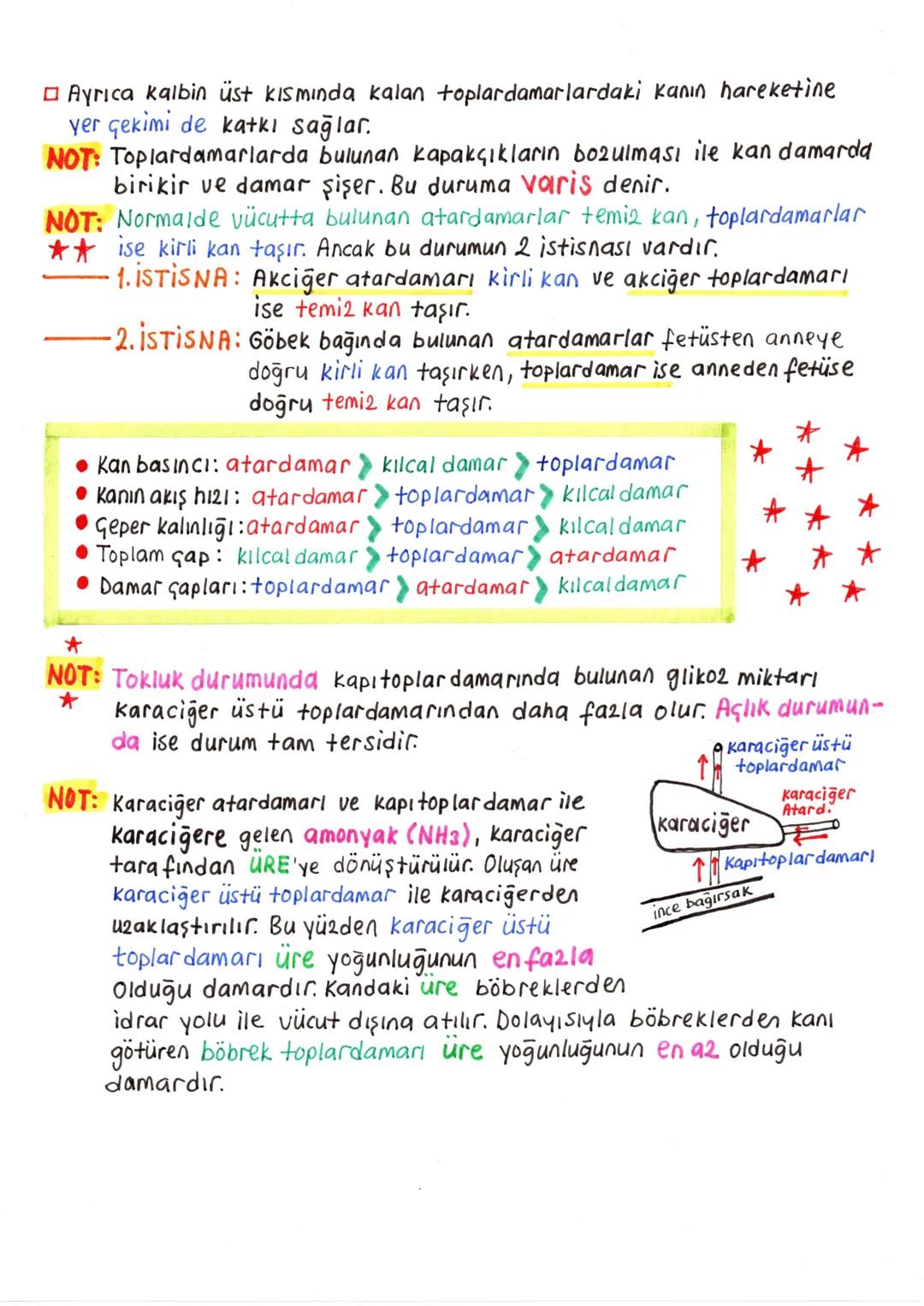 --- OCR Start ---
DOLAŞIM SİSTEMİ
Dolaşım sistemi sayesinde, doku ve organlara gerekli oksijen ve besin
taşınırken, ayrıca bu yapılardan atı