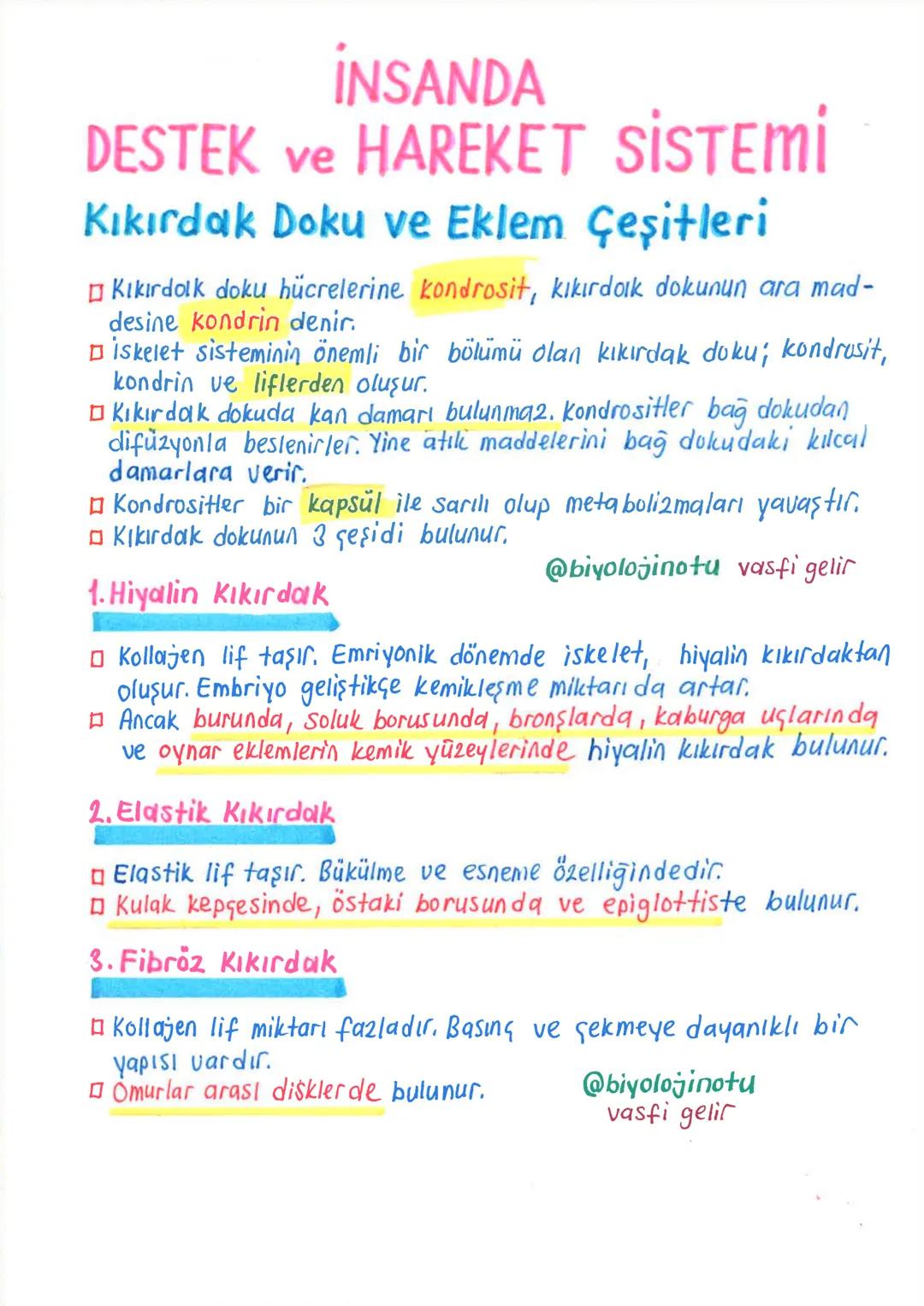 İNSANDA
DESTEK ve HAREKET SİSTEMİ
1. İskelet Sistemi, Kemik Doku ve Kemik Çeşitleri
İnsanda destek ve hareket sistemi, iskelet sistemi ile k