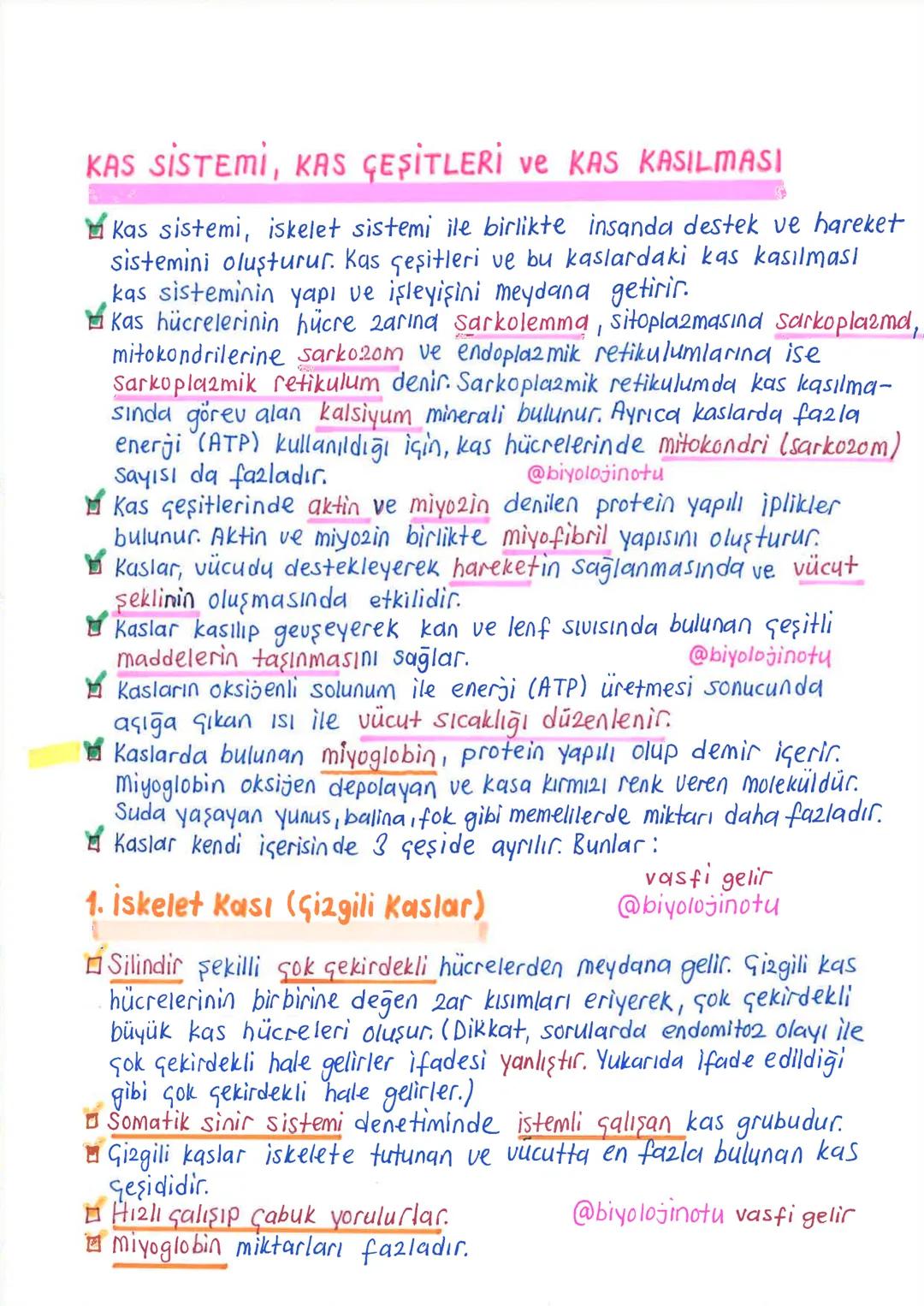 İNSANDA
DESTEK ve HAREKET SİSTEMİ
1. İskelet Sistemi, Kemik Doku ve Kemik Çeşitleri
İnsanda destek ve hareket sistemi, iskelet sistemi ile k