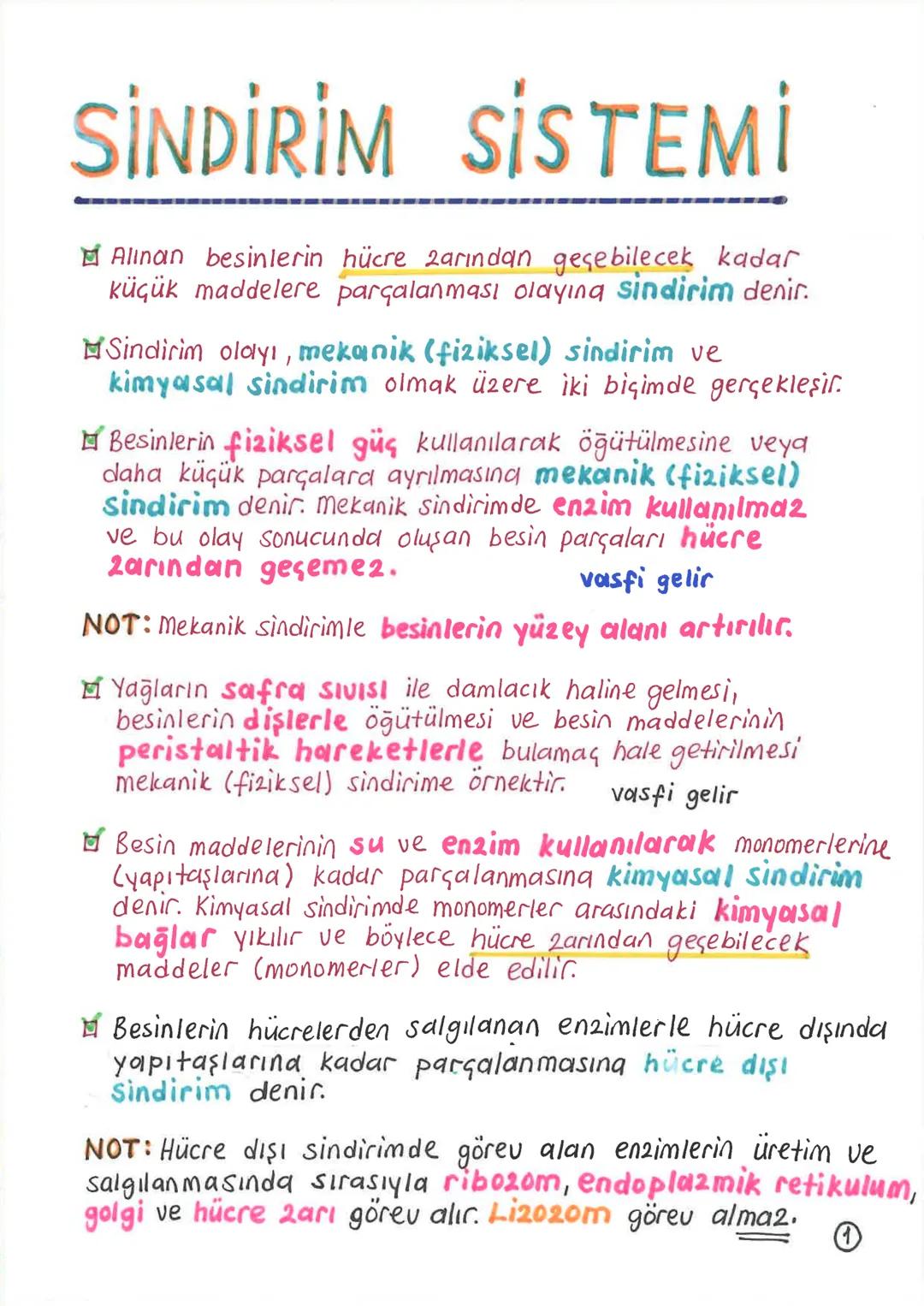 SİNDİRİM SİSTEMİ
Alınan besinlerin hücre zarından geçebilecek kadar
küçük maddelere parçalanması olayına sindirim denir.
Sindirim olayı, mek