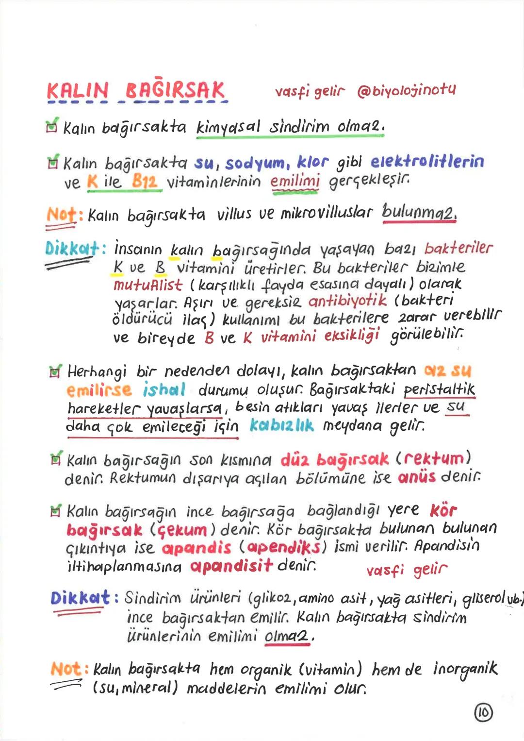SİNDİRİM SİSTEMİ
Alınan besinlerin hücre zarından geçebilecek kadar
küçük maddelere parçalanması olayına sindirim denir.
Sindirim olayı, mek