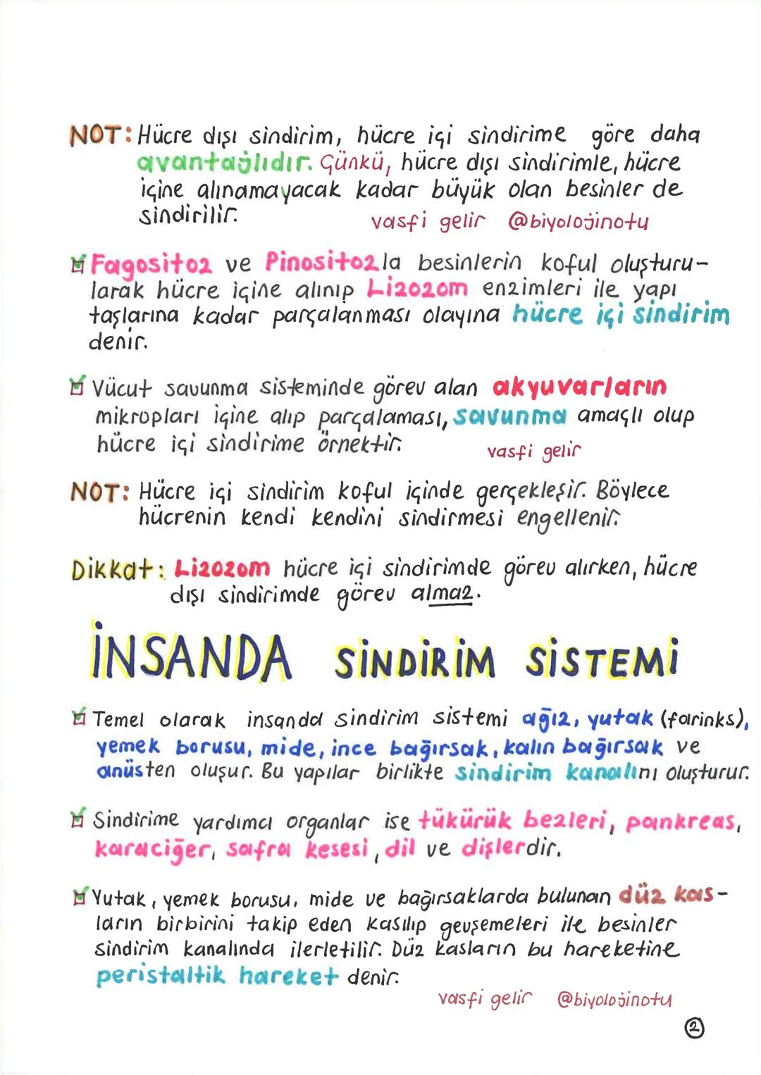 SİNDİRİM SİSTEMİ
Alınan besinlerin hücre zarından geçebilecek kadar
küçük maddelere parçalanması olayına sindirim denir.
Sindirim olayı, mek