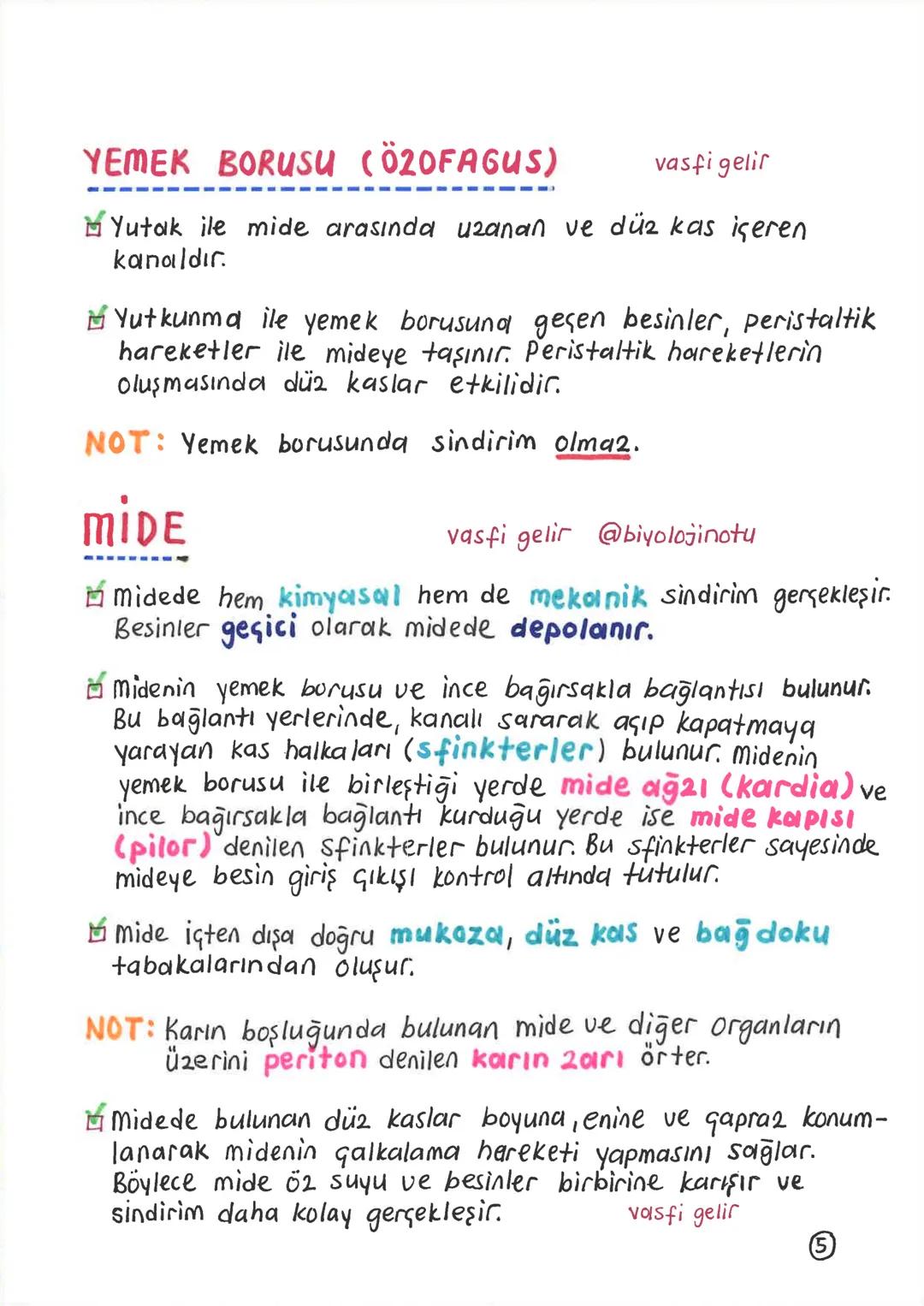 SİNDİRİM SİSTEMİ
Alınan besinlerin hücre zarından geçebilecek kadar
küçük maddelere parçalanması olayına sindirim denir.
Sindirim olayı, mek