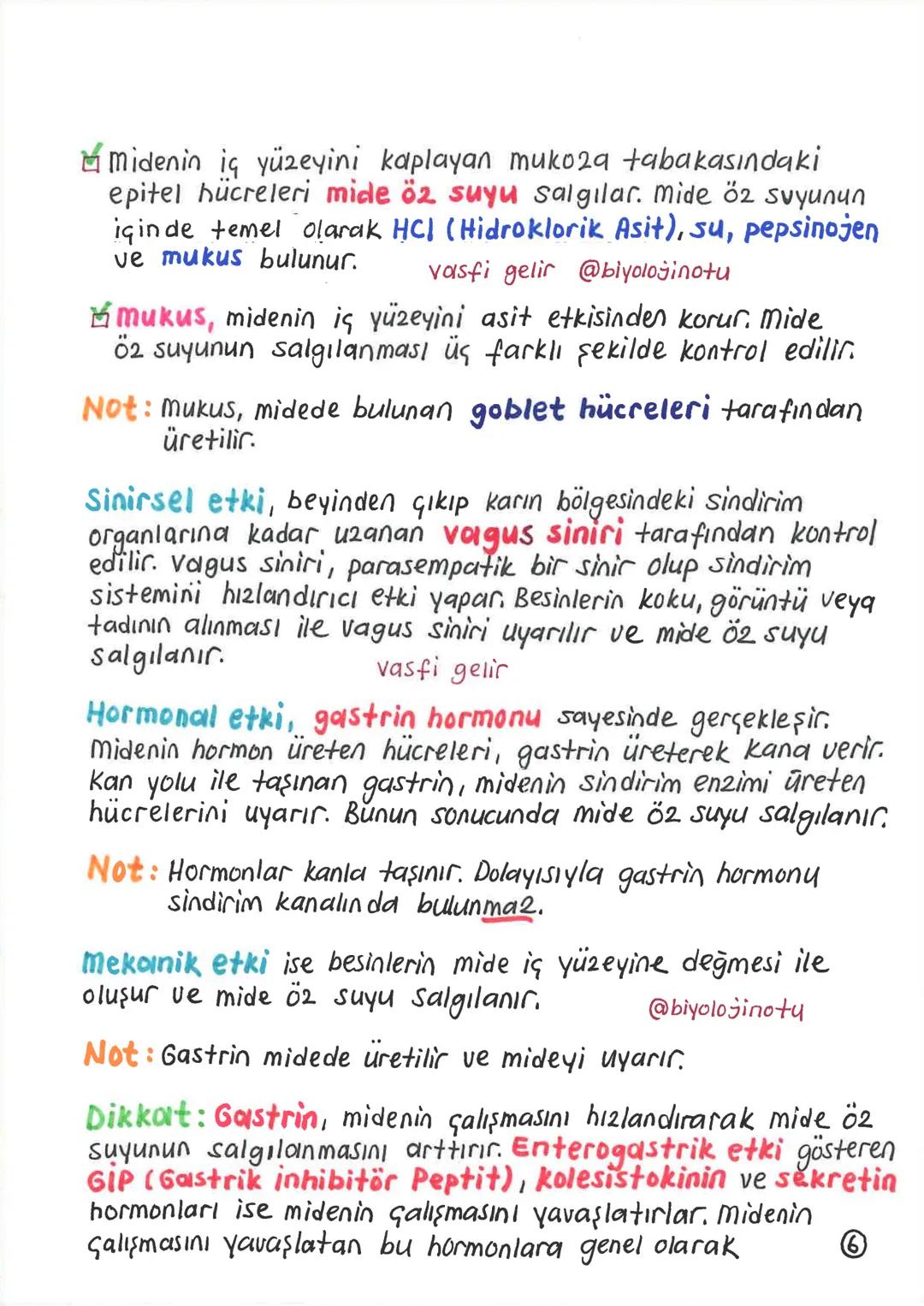 SİNDİRİM SİSTEMİ
Alınan besinlerin hücre zarından geçebilecek kadar
küçük maddelere parçalanması olayına sindirim denir.
Sindirim olayı, mek
