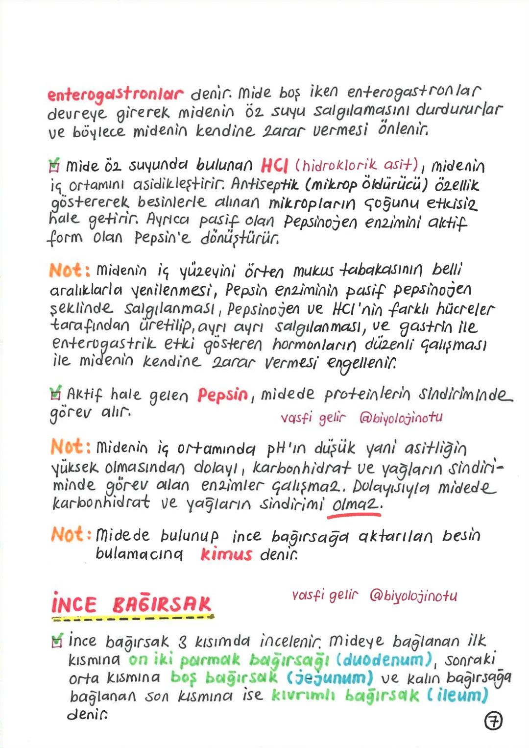 SİNDİRİM SİSTEMİ
Alınan besinlerin hücre zarından geçebilecek kadar
küçük maddelere parçalanması olayına sindirim denir.
Sindirim olayı, mek