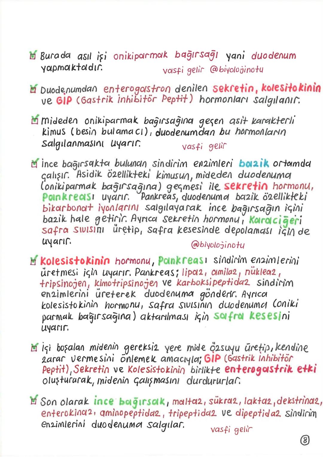 SİNDİRİM SİSTEMİ
Alınan besinlerin hücre zarından geçebilecek kadar
küçük maddelere parçalanması olayına sindirim denir.
Sindirim olayı, mek