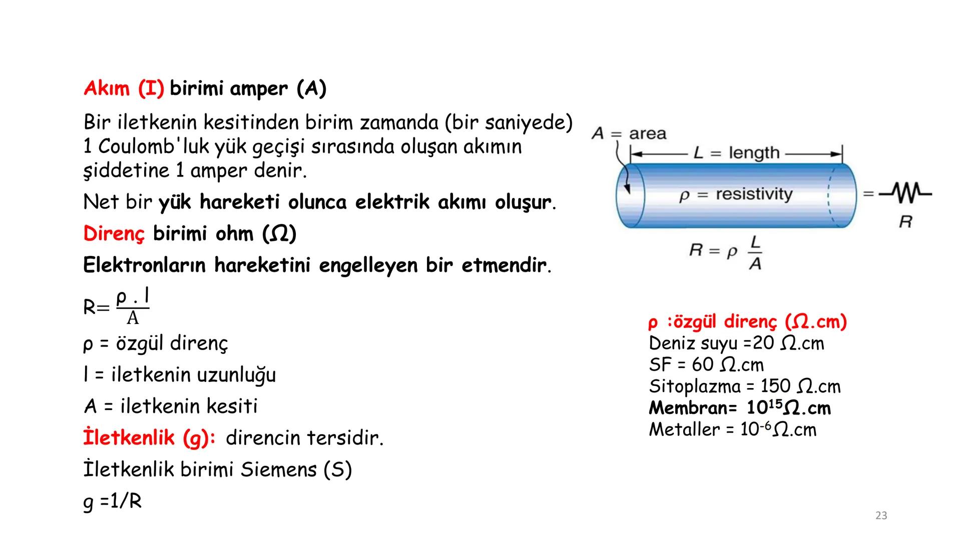 # BİYOFİZİĞE GİRİŞ
Doç. Dr. Nurten Bahtiyar Canlı varlıkların yapı ve işlevleri, tek bir disiplinin
içinden çıkamayacağı kadar karmaşıktır.