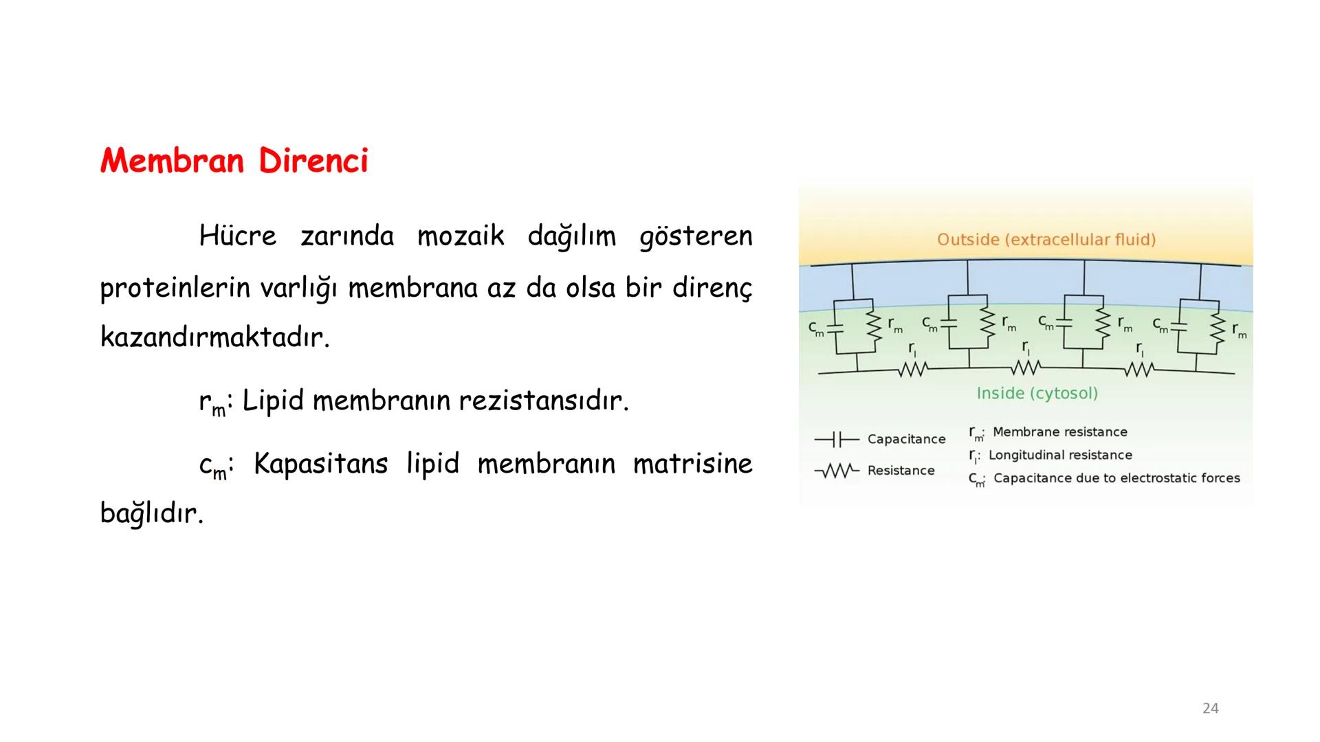 # BİYOFİZİĞE GİRİŞ
Doç. Dr. Nurten Bahtiyar Canlı varlıkların yapı ve işlevleri, tek bir disiplinin
içinden çıkamayacağı kadar karmaşıktır.