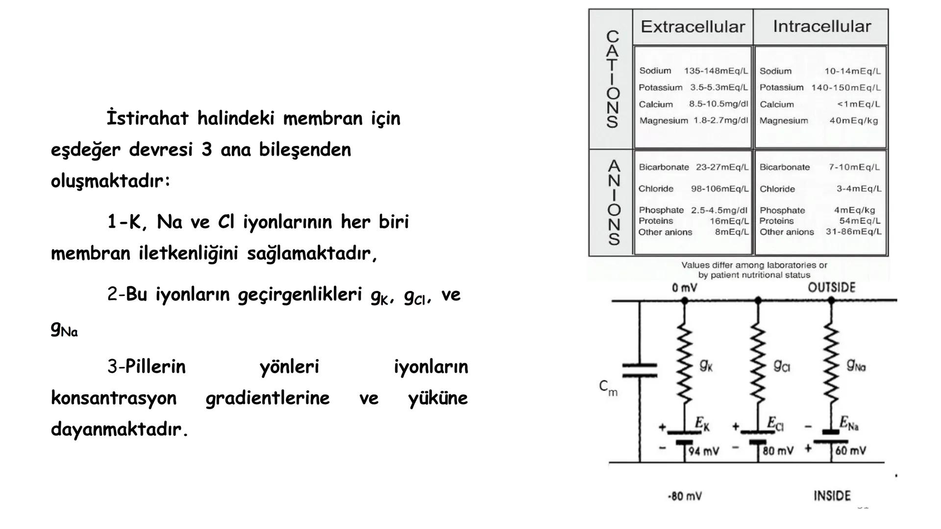 # BİYOFİZİĞE GİRİŞ
Doç. Dr. Nurten Bahtiyar Canlı varlıkların yapı ve işlevleri, tek bir disiplinin
içinden çıkamayacağı kadar karmaşıktır.