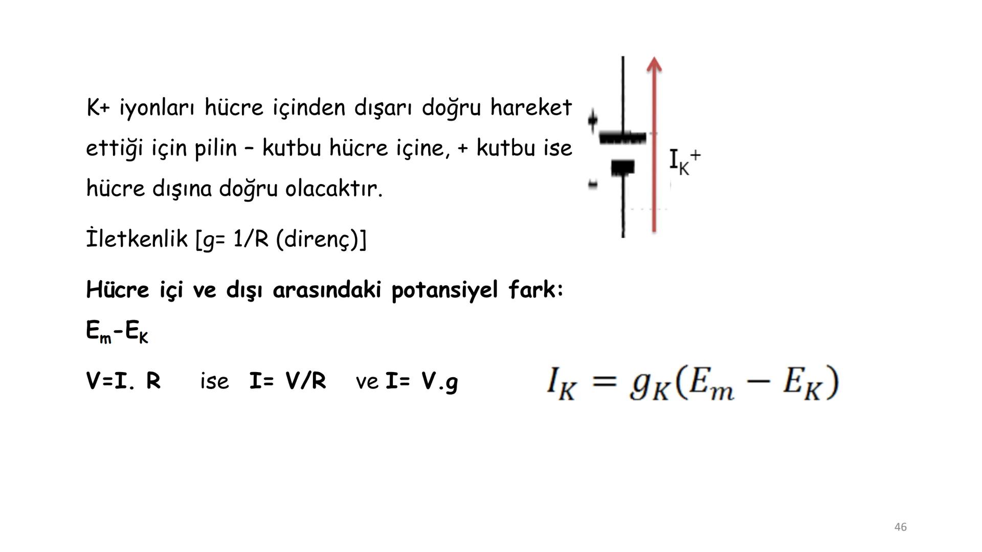 # BİYOFİZİĞE GİRİŞ
Doç. Dr. Nurten Bahtiyar Canlı varlıkların yapı ve işlevleri, tek bir disiplinin
içinden çıkamayacağı kadar karmaşıktır.