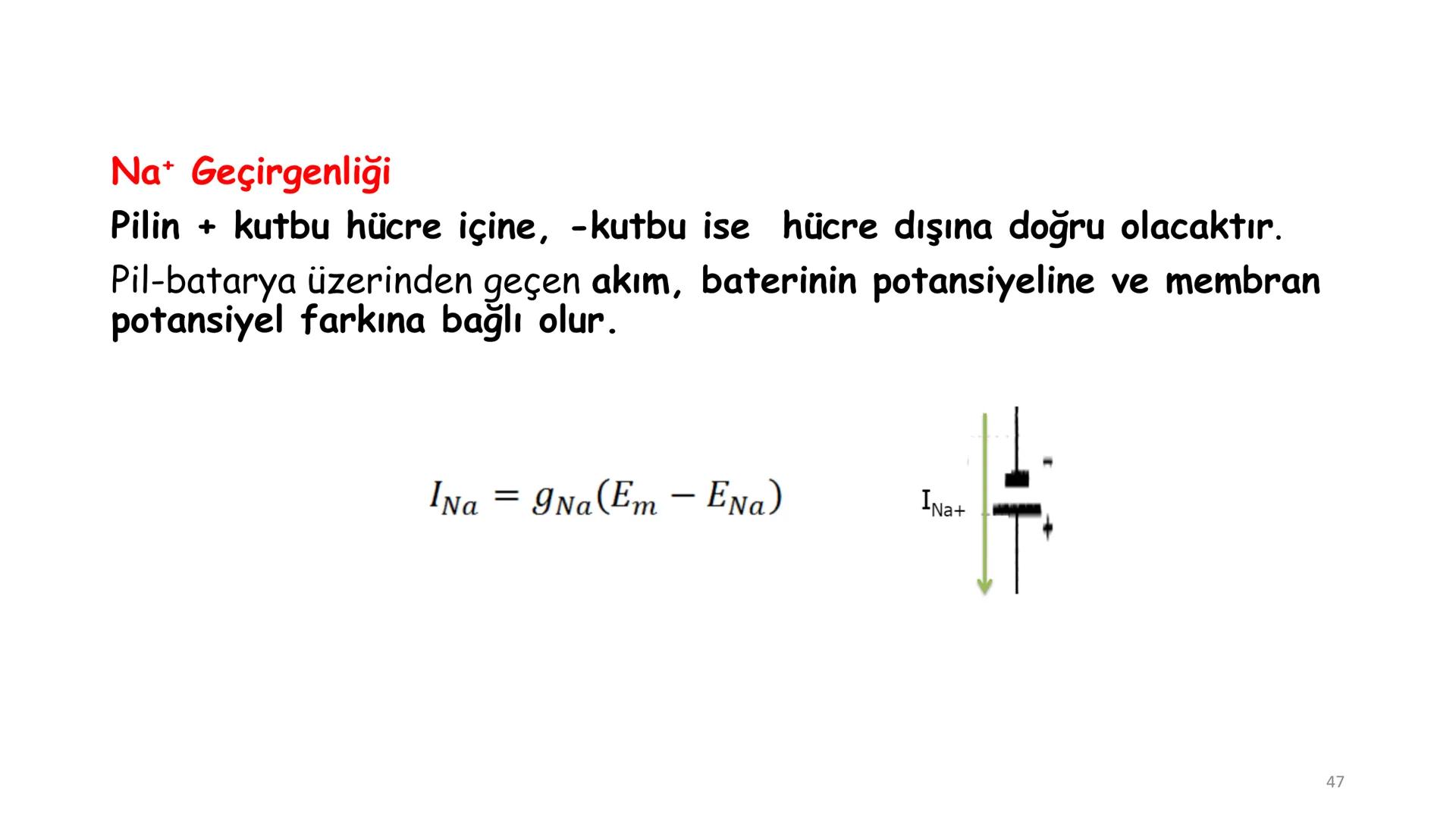 # BİYOFİZİĞE GİRİŞ
Doç. Dr. Nurten Bahtiyar Canlı varlıkların yapı ve işlevleri, tek bir disiplinin
içinden çıkamayacağı kadar karmaşıktır.