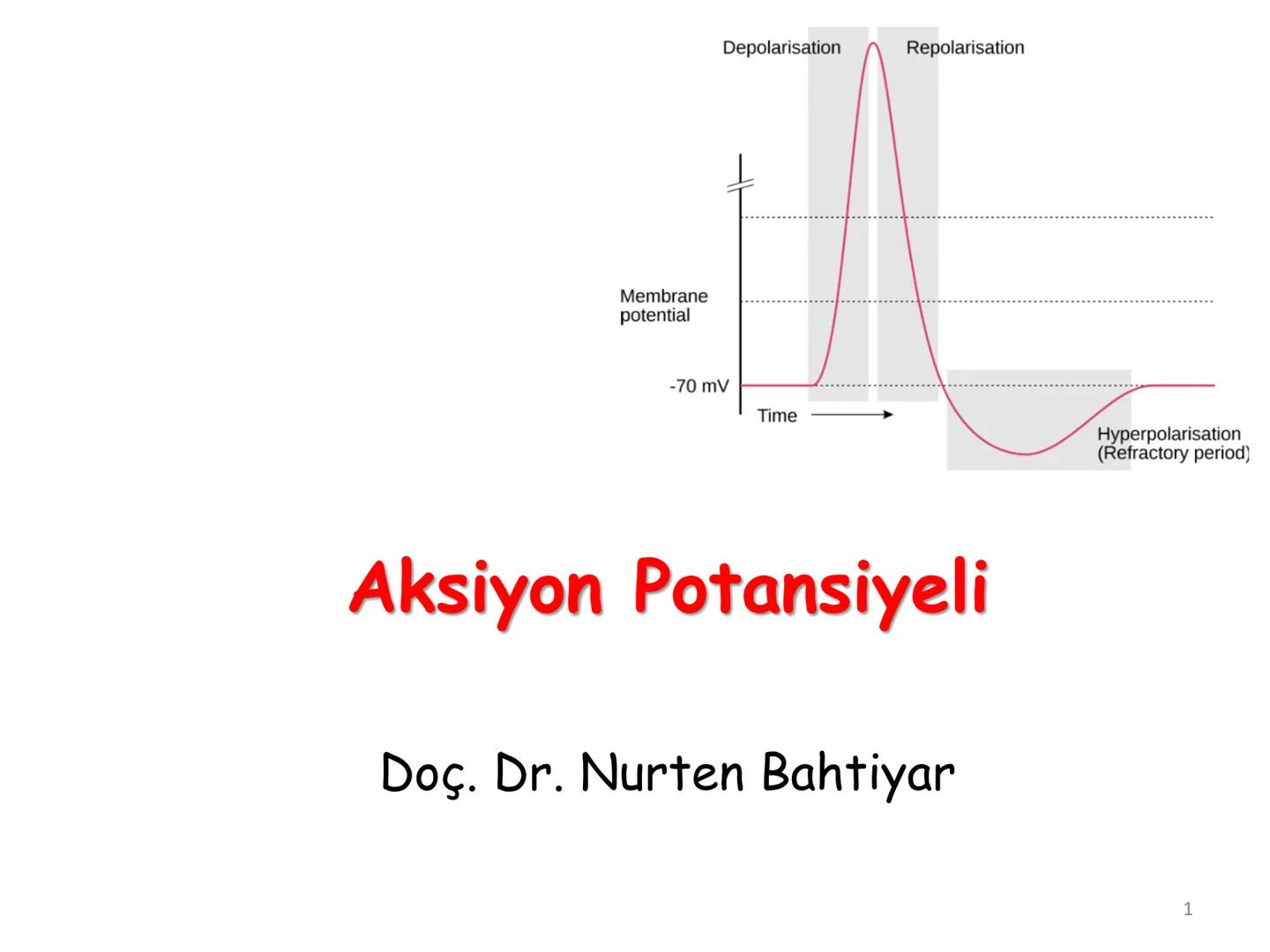 # BİYOFİZİĞE GİRİŞ
Doç. Dr. Nurten Bahtiyar Canlı varlıkların yapı ve işlevleri, tek bir disiplinin
içinden çıkamayacağı kadar karmaşıktır.