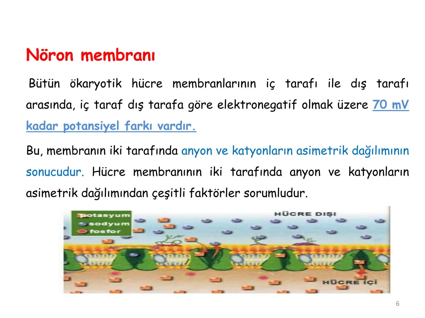 # BİYOFİZİĞE GİRİŞ
Doç. Dr. Nurten Bahtiyar Canlı varlıkların yapı ve işlevleri, tek bir disiplinin
içinden çıkamayacağı kadar karmaşıktır.