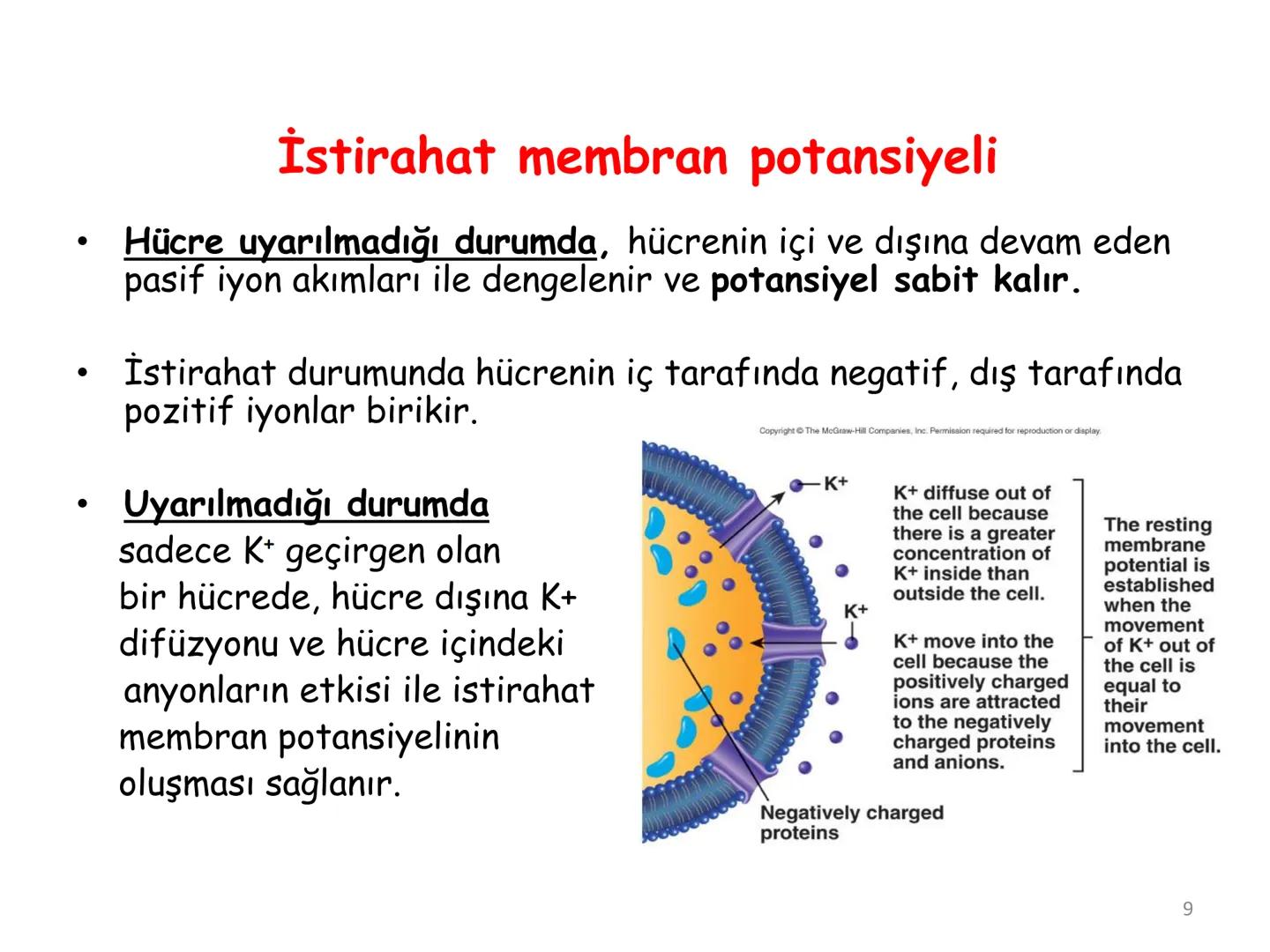 # BİYOFİZİĞE GİRİŞ
Doç. Dr. Nurten Bahtiyar Canlı varlıkların yapı ve işlevleri, tek bir disiplinin
içinden çıkamayacağı kadar karmaşıktır.