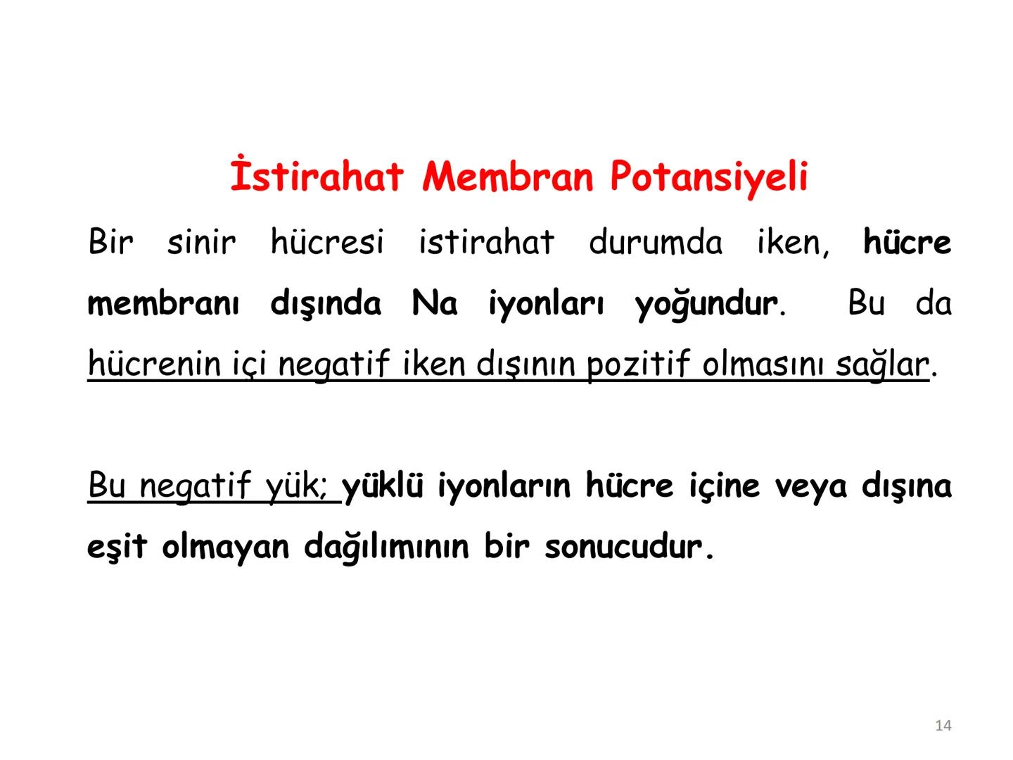 # BİYOFİZİĞE GİRİŞ
Doç. Dr. Nurten Bahtiyar Canlı varlıkların yapı ve işlevleri, tek bir disiplinin
içinden çıkamayacağı kadar karmaşıktır.
