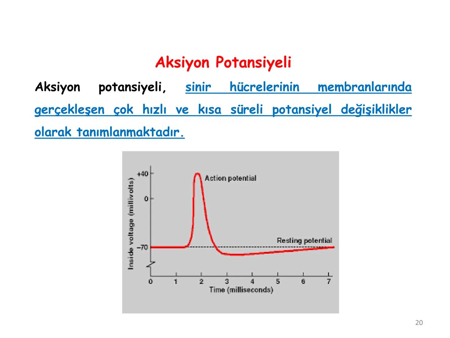 # BİYOFİZİĞE GİRİŞ
Doç. Dr. Nurten Bahtiyar Canlı varlıkların yapı ve işlevleri, tek bir disiplinin
içinden çıkamayacağı kadar karmaşıktır.