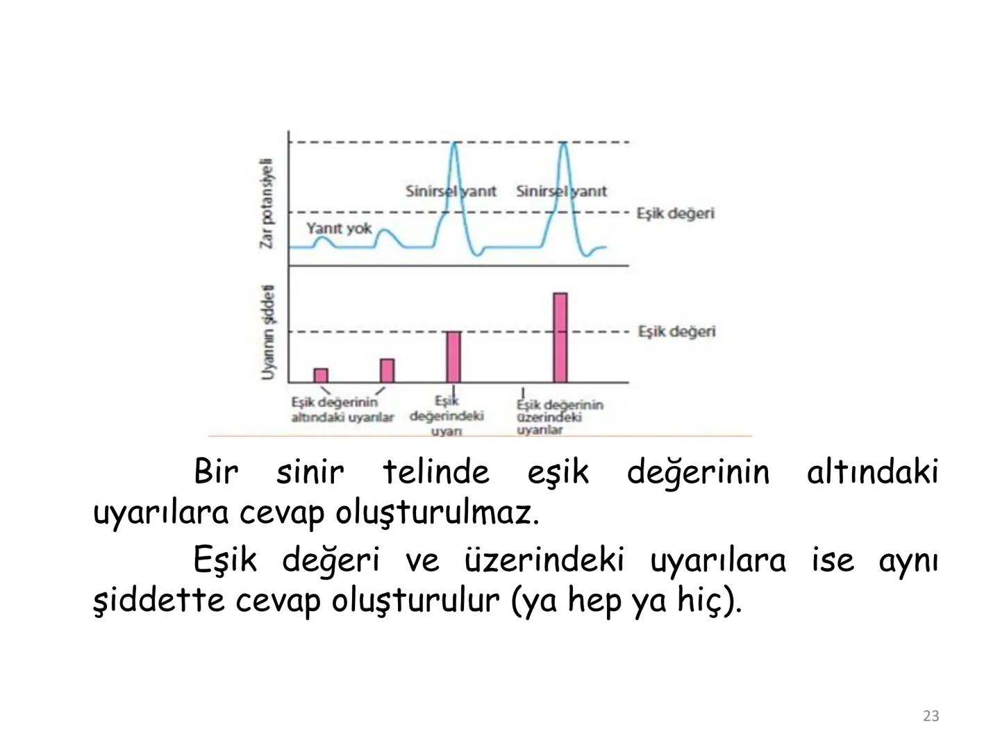 # BİYOFİZİĞE GİRİŞ
Doç. Dr. Nurten Bahtiyar Canlı varlıkların yapı ve işlevleri, tek bir disiplinin
içinden çıkamayacağı kadar karmaşıktır.