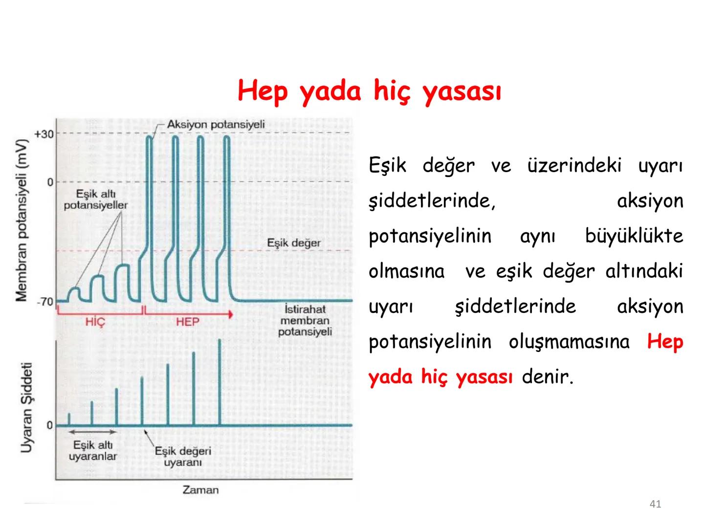 # BİYOFİZİĞE GİRİŞ
Doç. Dr. Nurten Bahtiyar Canlı varlıkların yapı ve işlevleri, tek bir disiplinin
içinden çıkamayacağı kadar karmaşıktır.
