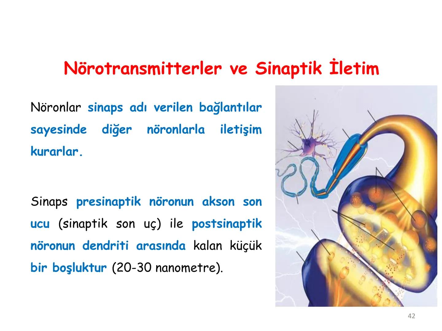 # BİYOFİZİĞE GİRİŞ
Doç. Dr. Nurten Bahtiyar Canlı varlıkların yapı ve işlevleri, tek bir disiplinin
içinden çıkamayacağı kadar karmaşıktır.