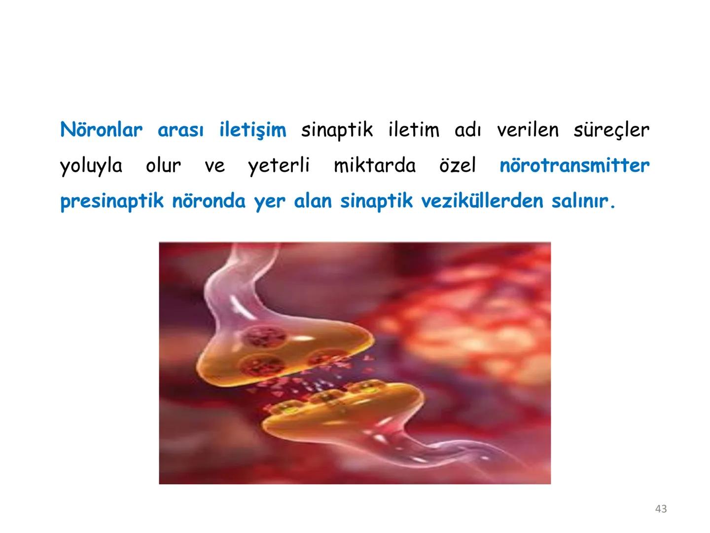 # BİYOFİZİĞE GİRİŞ
Doç. Dr. Nurten Bahtiyar Canlı varlıkların yapı ve işlevleri, tek bir disiplinin
içinden çıkamayacağı kadar karmaşıktır.