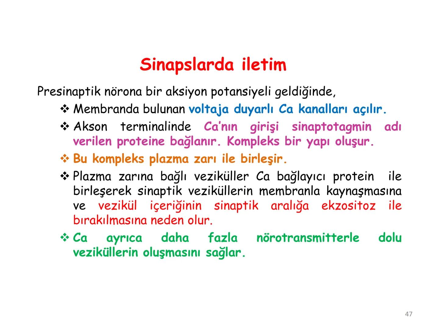 # BİYOFİZİĞE GİRİŞ
Doç. Dr. Nurten Bahtiyar Canlı varlıkların yapı ve işlevleri, tek bir disiplinin
içinden çıkamayacağı kadar karmaşıktır.