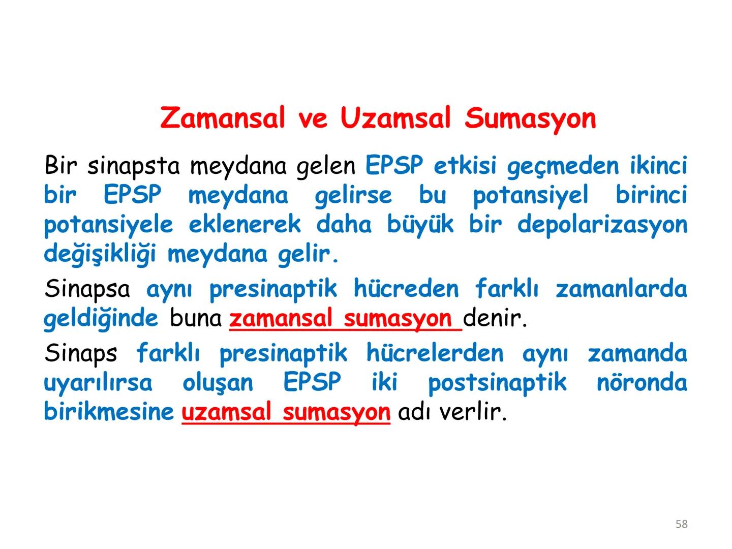 # BİYOFİZİĞE GİRİŞ
Doç. Dr. Nurten Bahtiyar Canlı varlıkların yapı ve işlevleri, tek bir disiplinin
içinden çıkamayacağı kadar karmaşıktır.